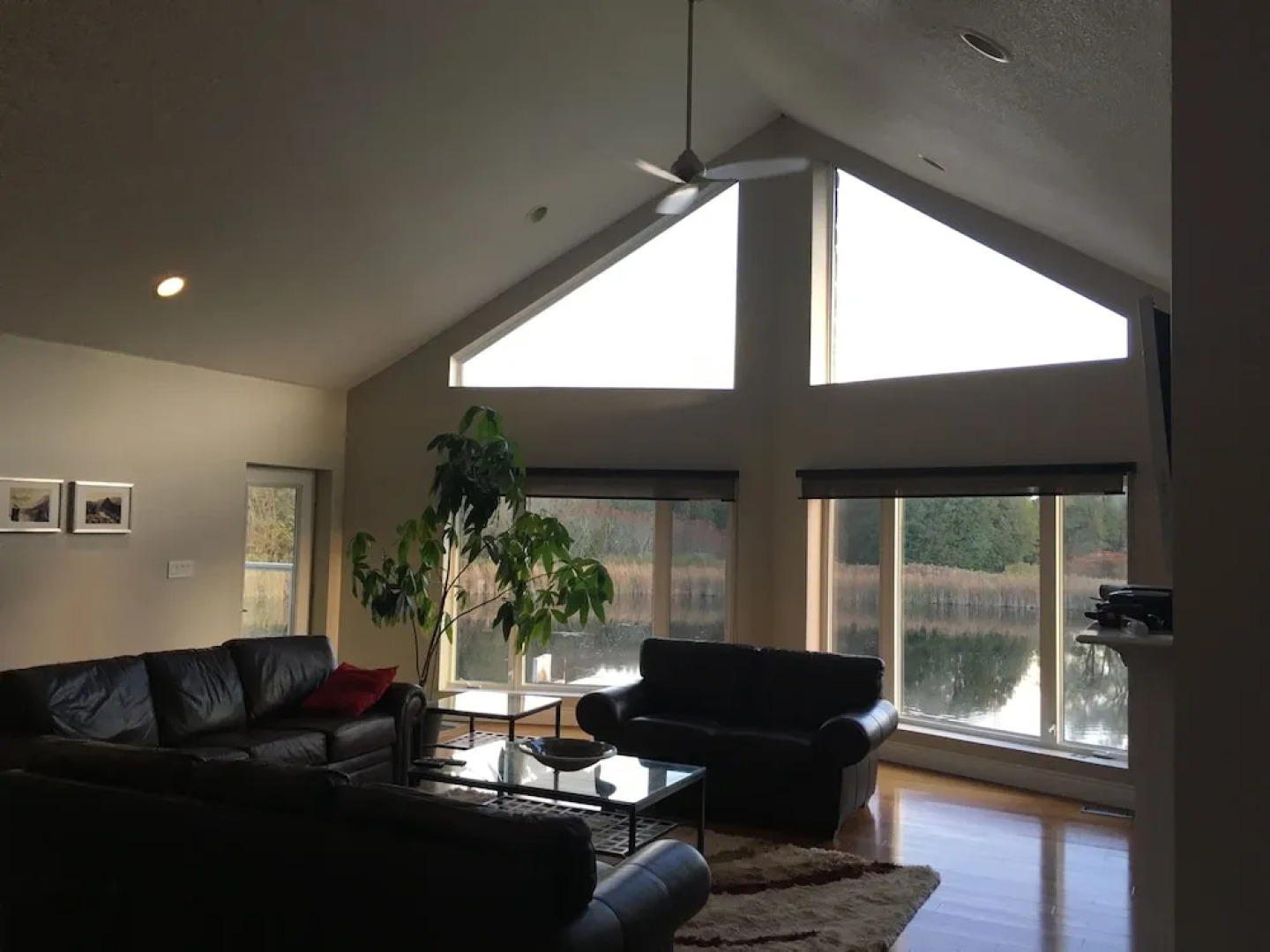 Cottage Lakehouse Private 48 Acres