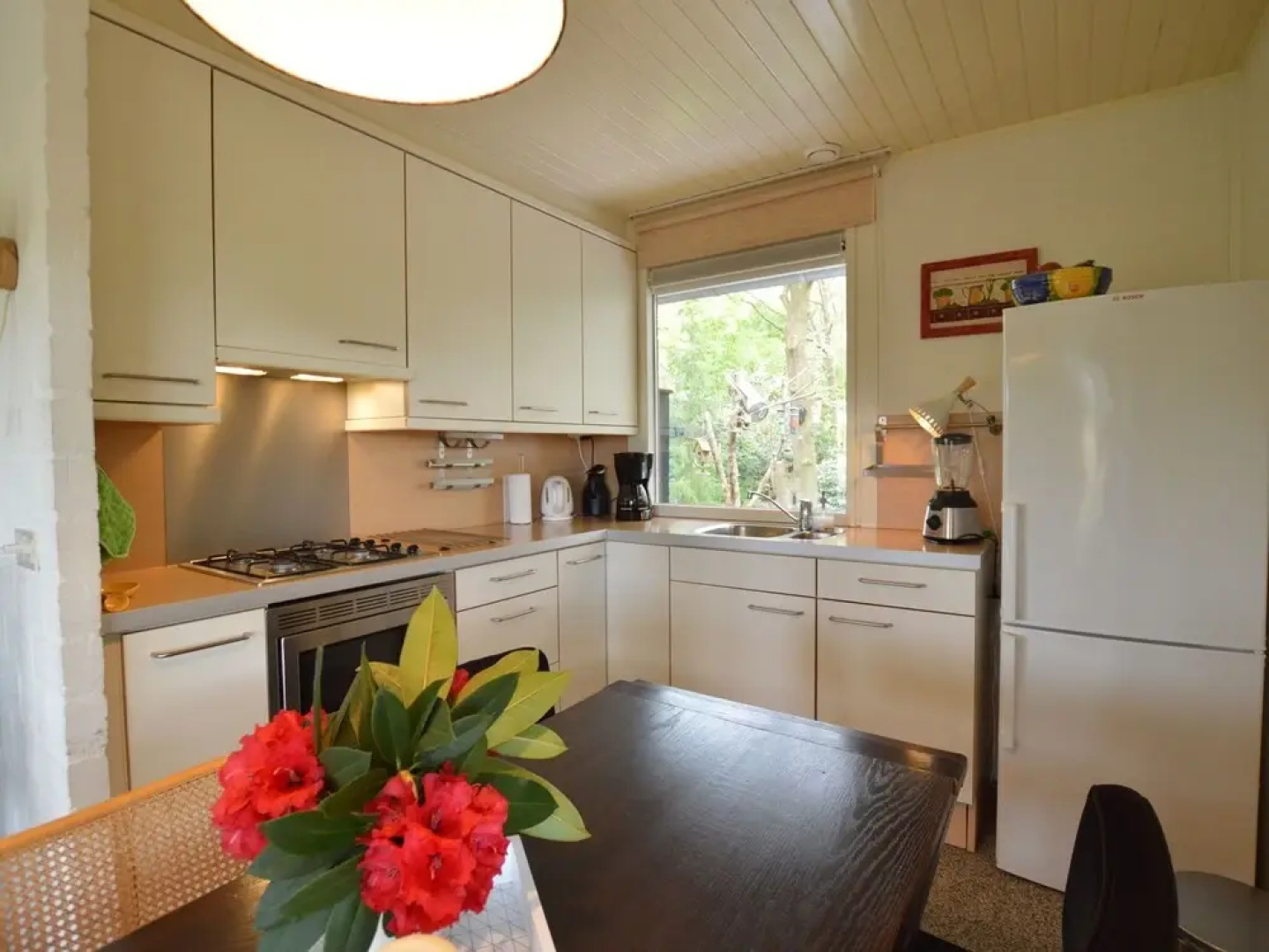 Cozy Cottage With Large Garden in Nature Reserve Dwingelderveld