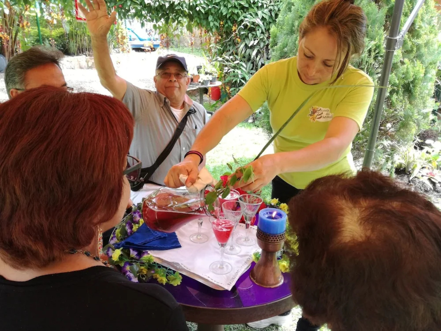 Posada Las Bromelias