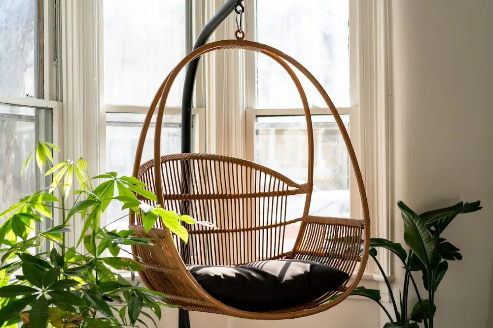 NEW Luxe Pet Friendly Free Parking Downtown