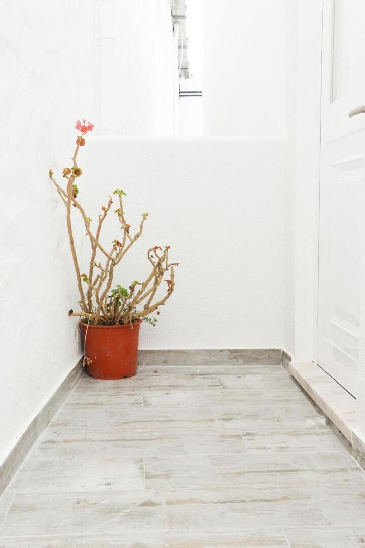 AKTION Peniche Hostel & Apartments