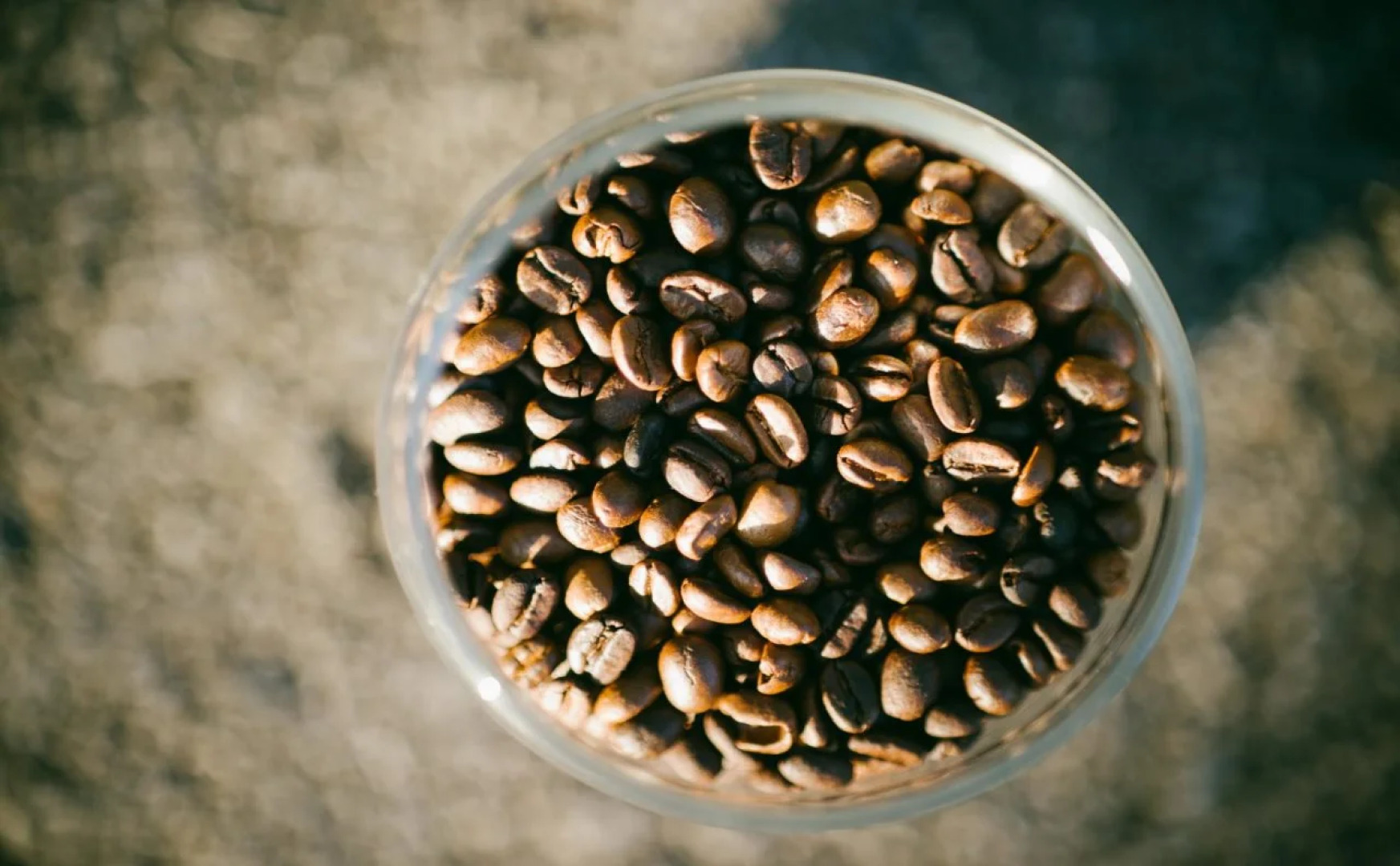 My Resort Phitsanulok