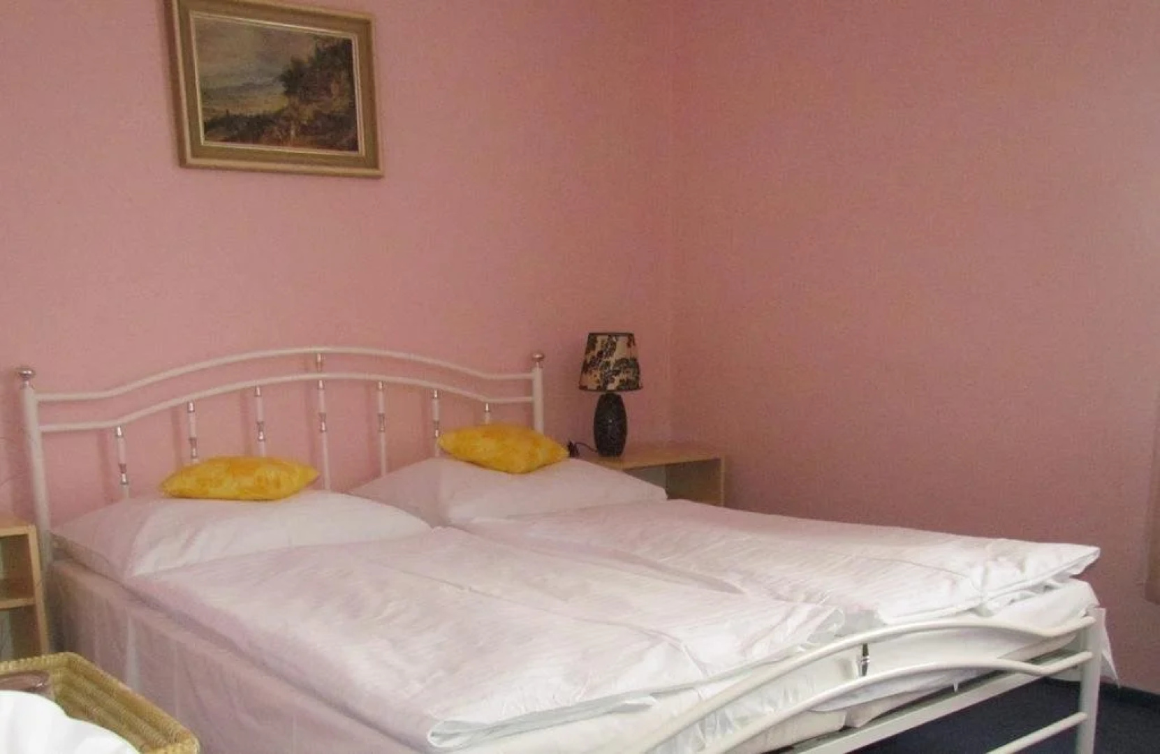 Hotel Venec