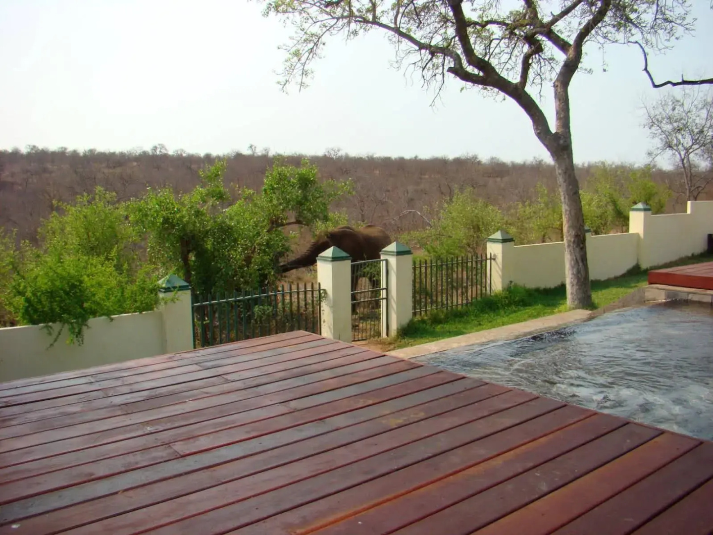 Muweti Bush Lodge