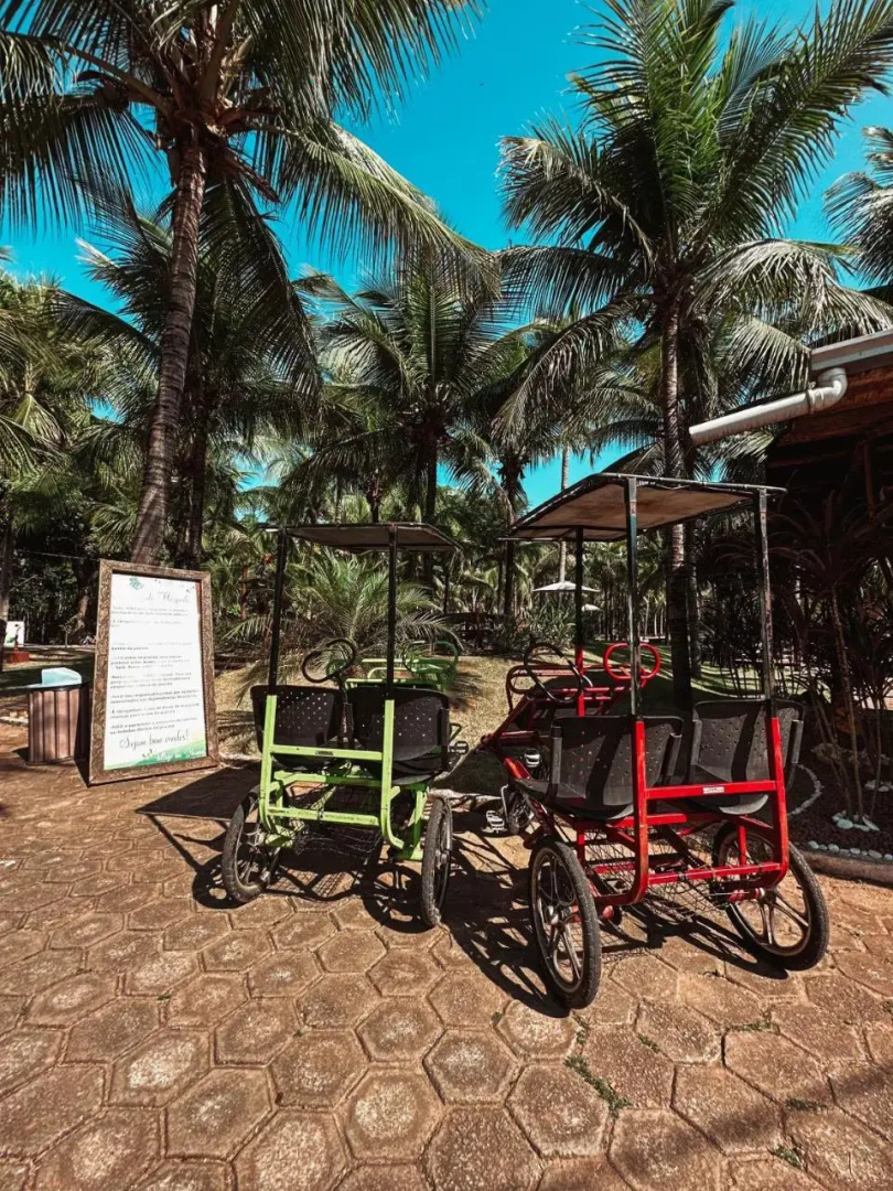 Village dos Pássaros