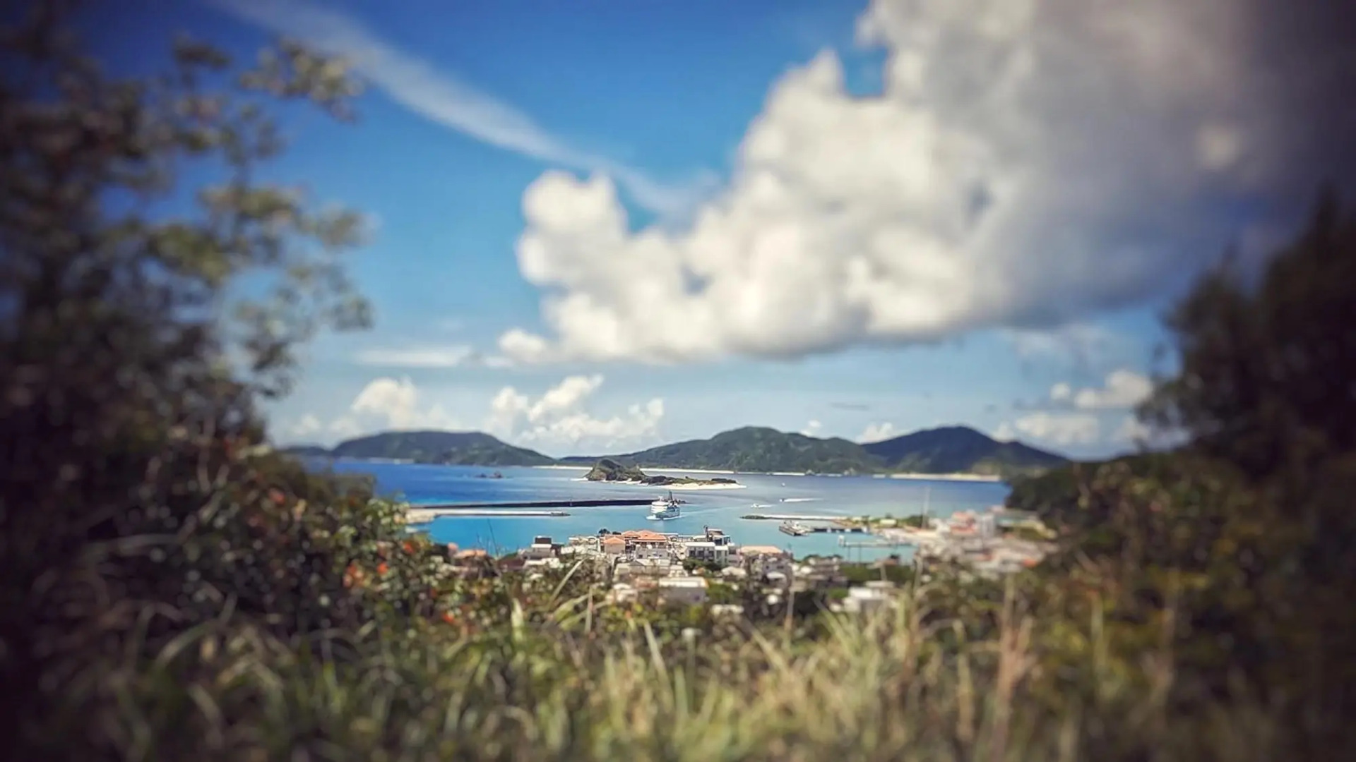 Zamamia International Guesthouse