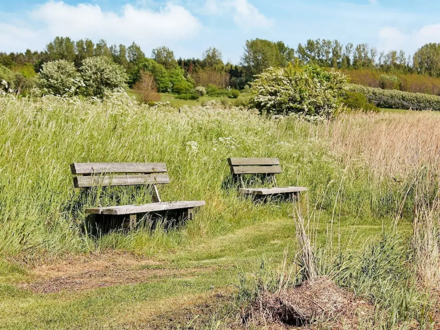 Luxurious Holiday Home in Millinge With Roofed Terrace