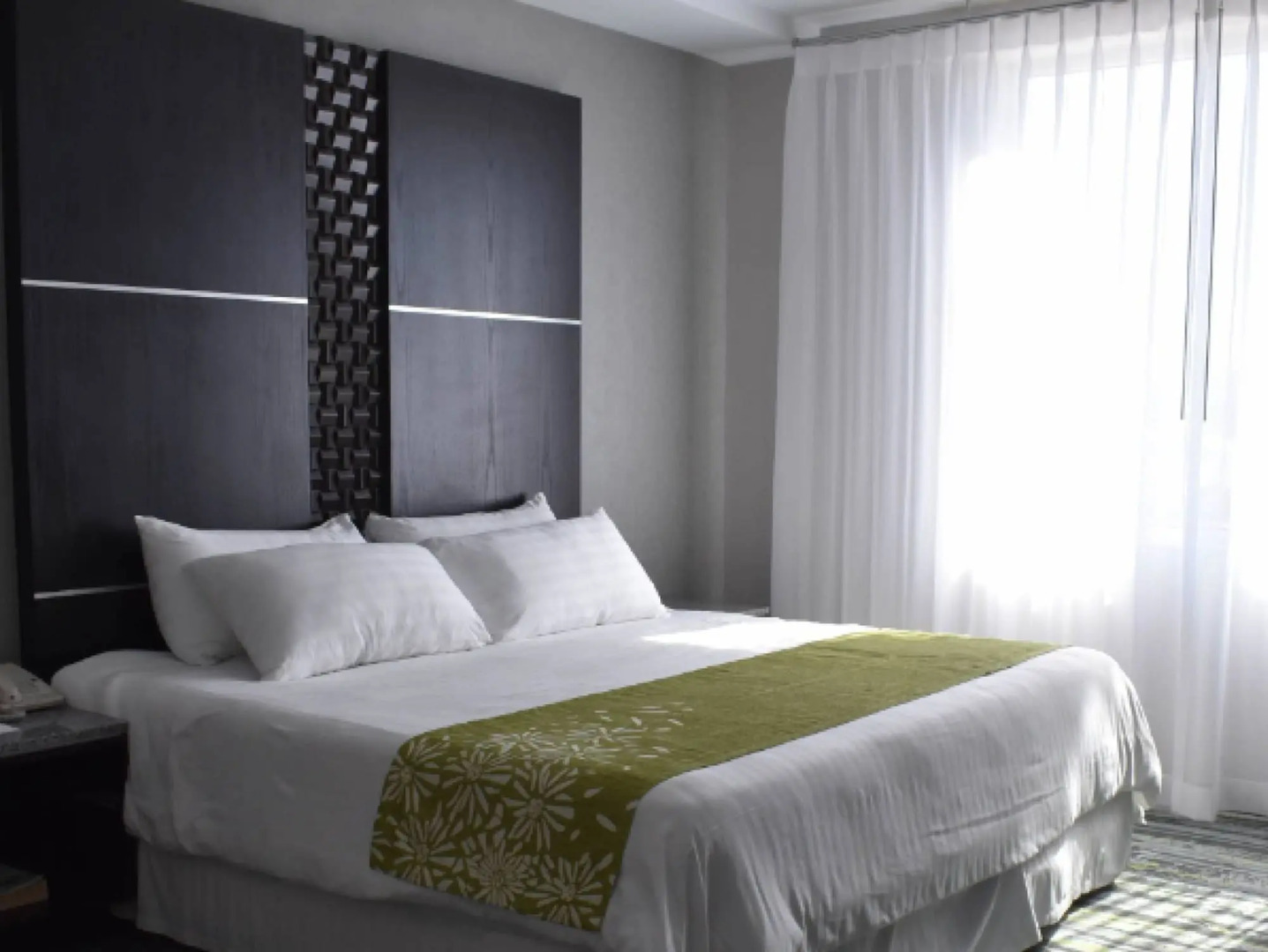 Hotel Araiza San Luis