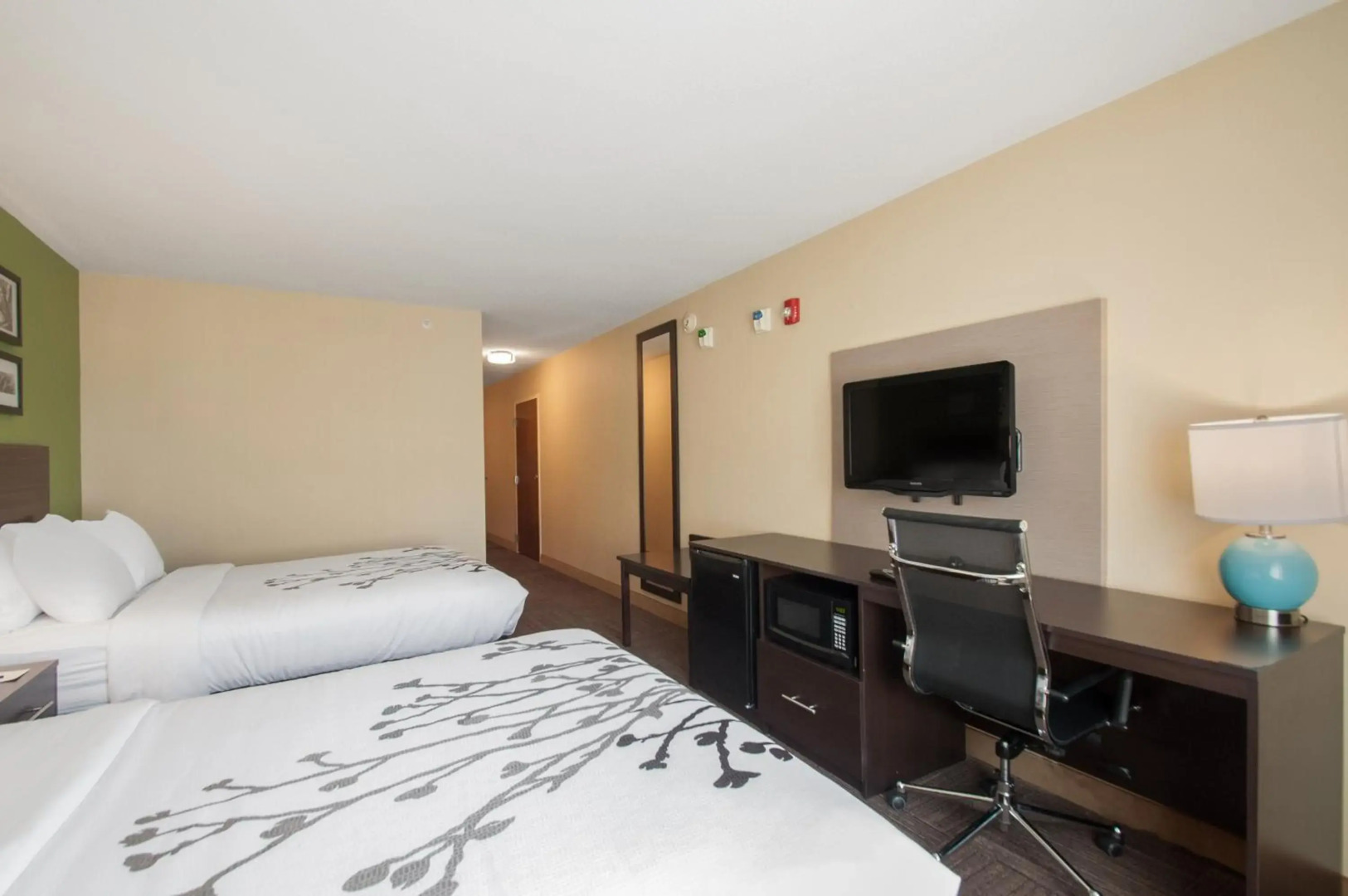 Sleep Inn & Suites Dover University Area