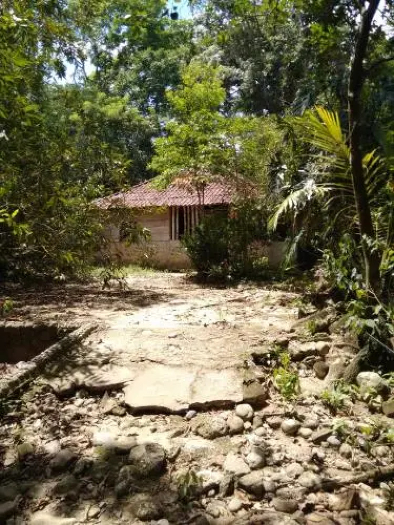 Ecoparque Agua Selva