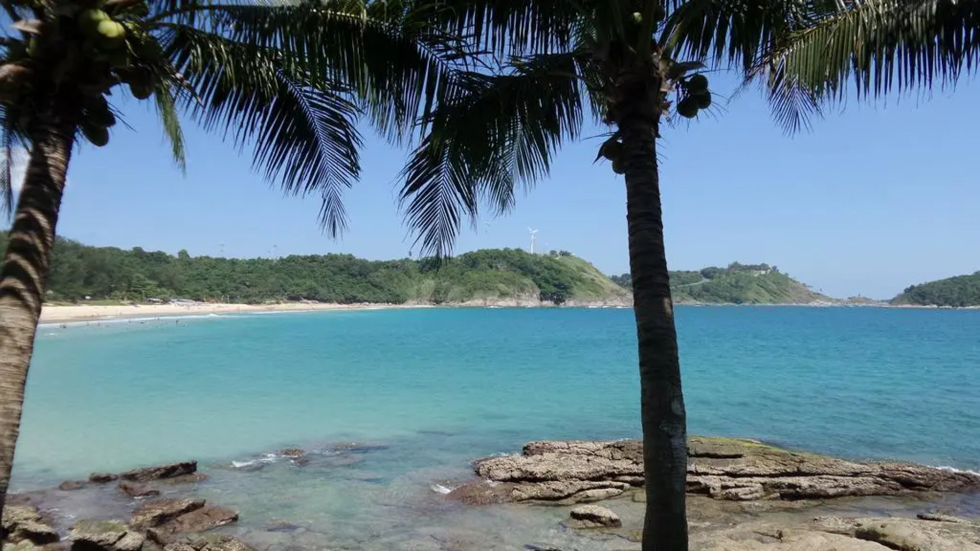 The Allamanda - Unit 1108