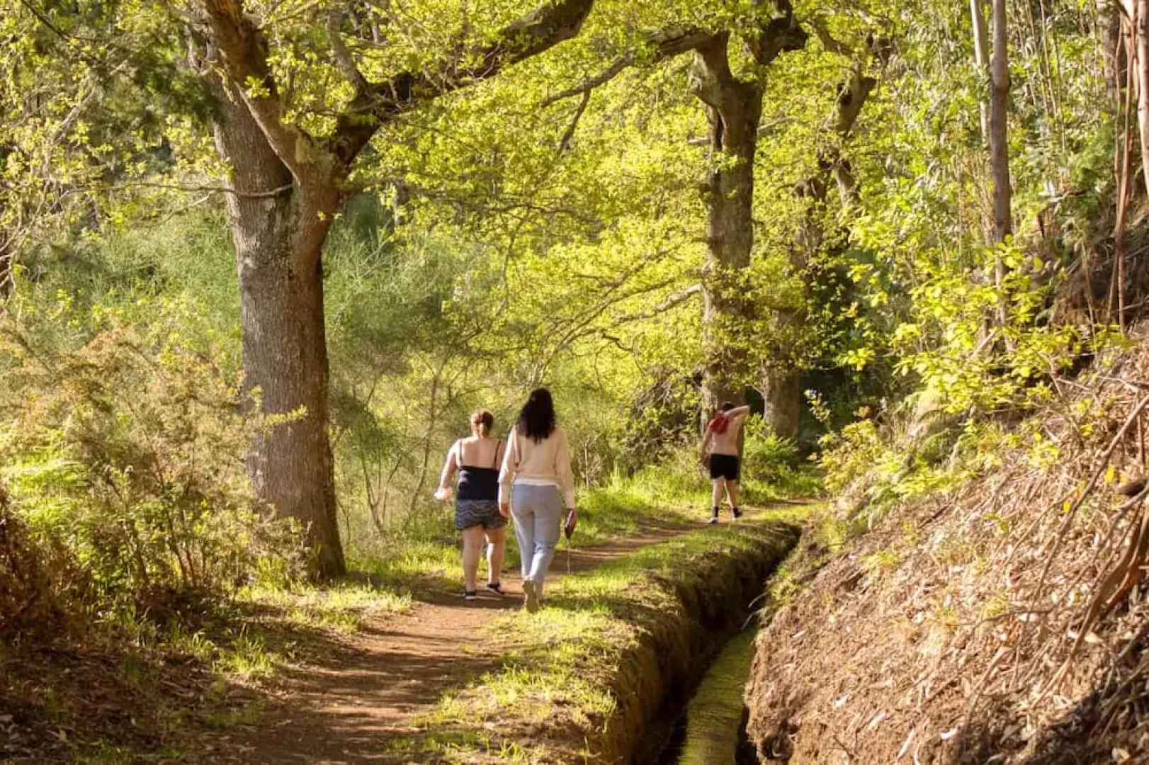 House With 2 Bedrooms in Camacha, With Wonderful Mountain View, Enclos