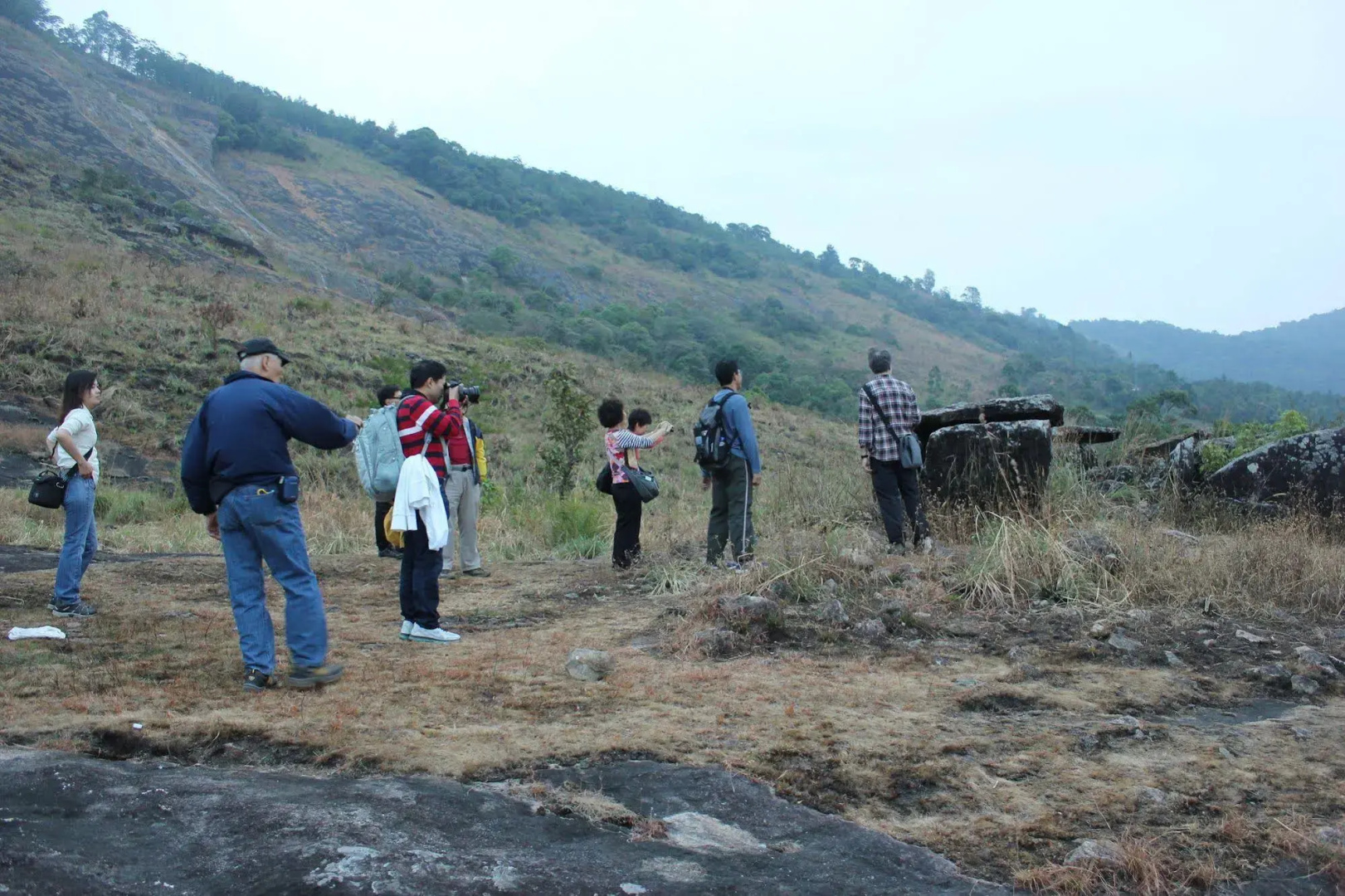 Spicetree Munnar