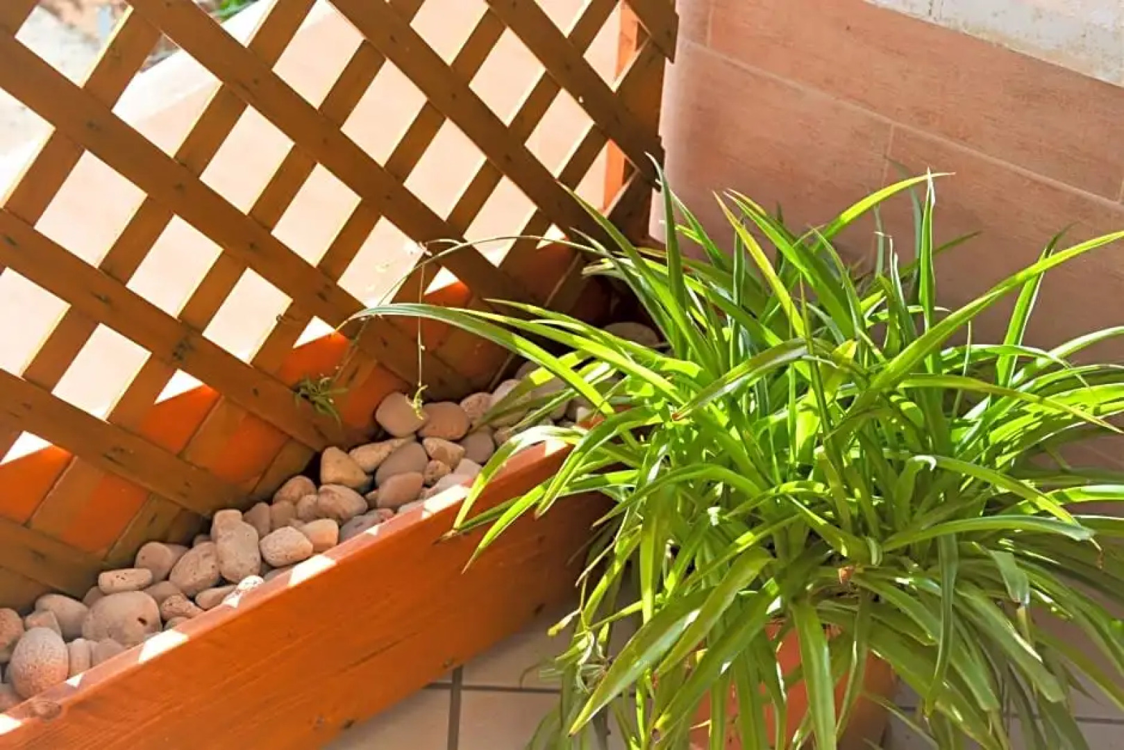 Salenterra B&B (Salento)