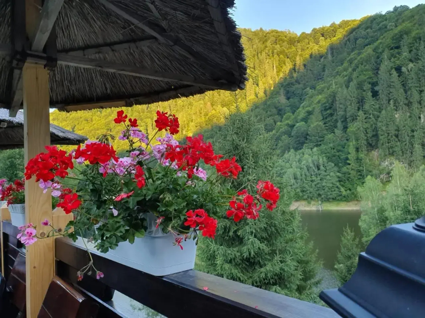 Hotel Popasul Regelui Transalpina