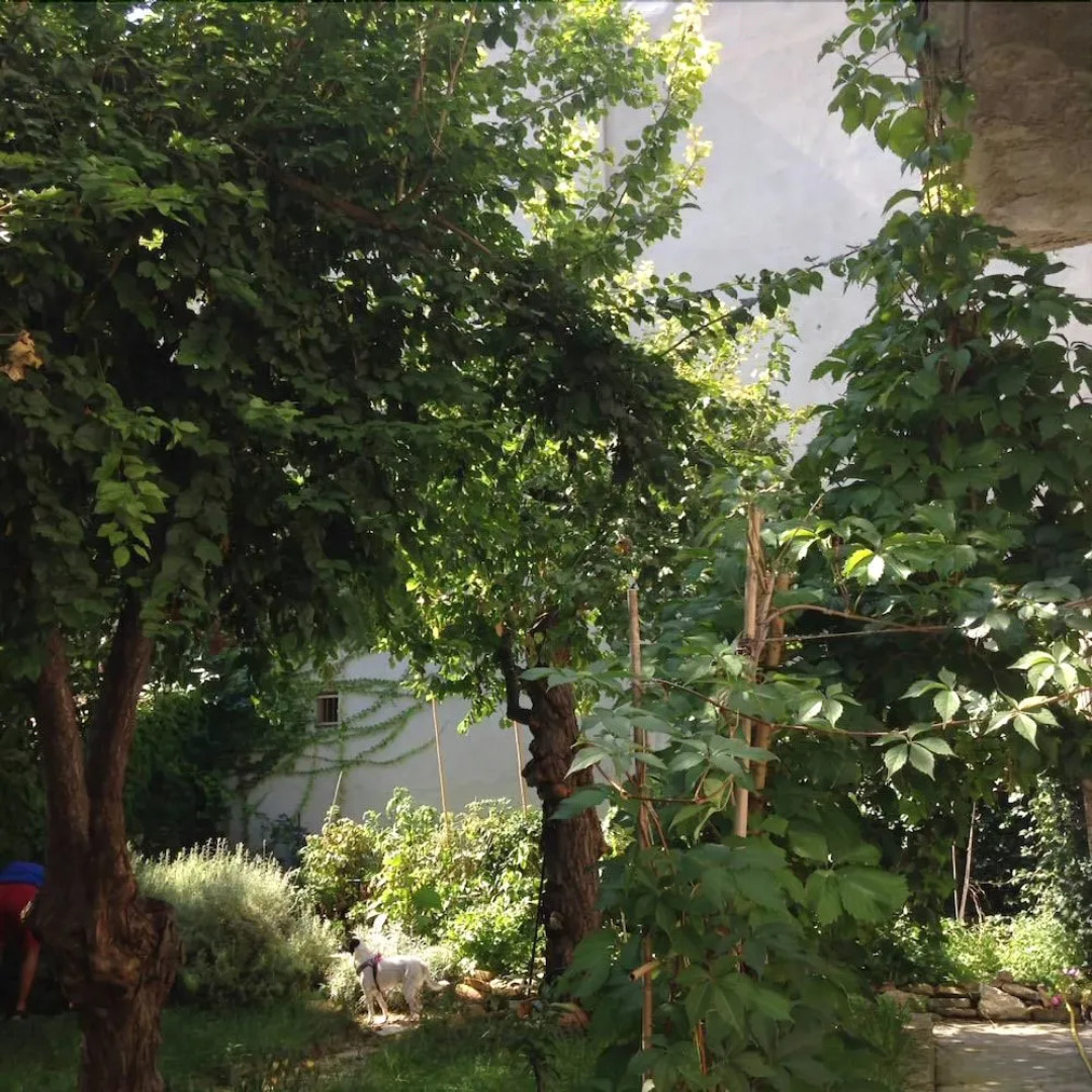 B&B La Casa Di Zia Mimina