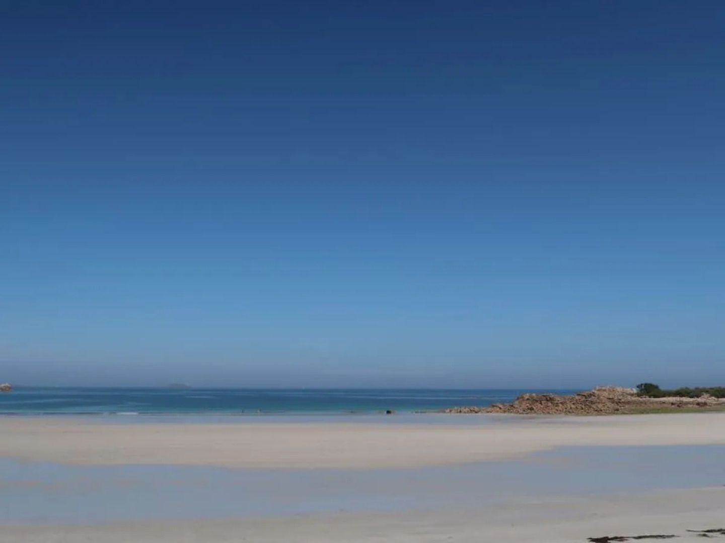 Les Courlis (TTT100)