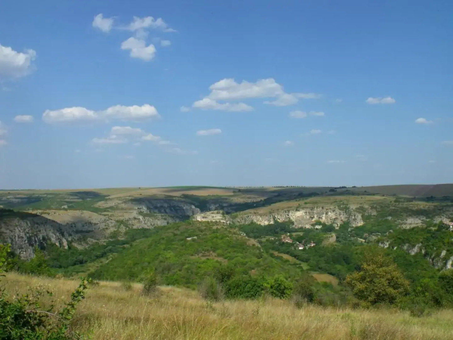 Guest House Intrigue