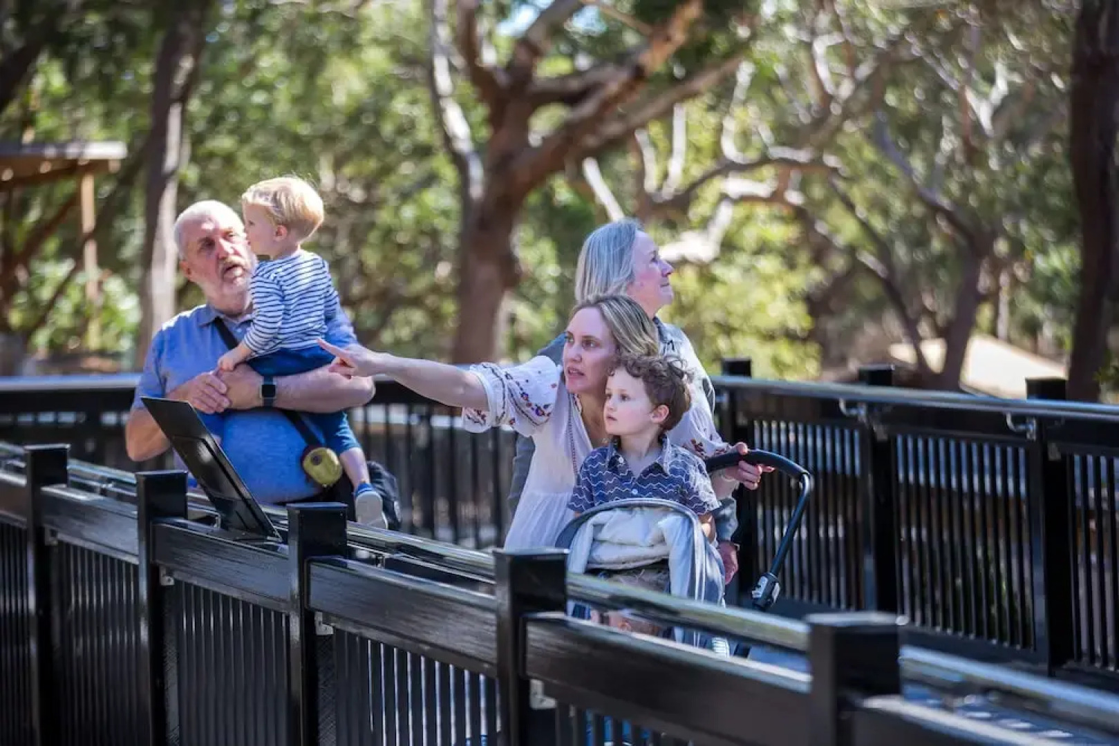 Port Stephens Koala Sanctuary