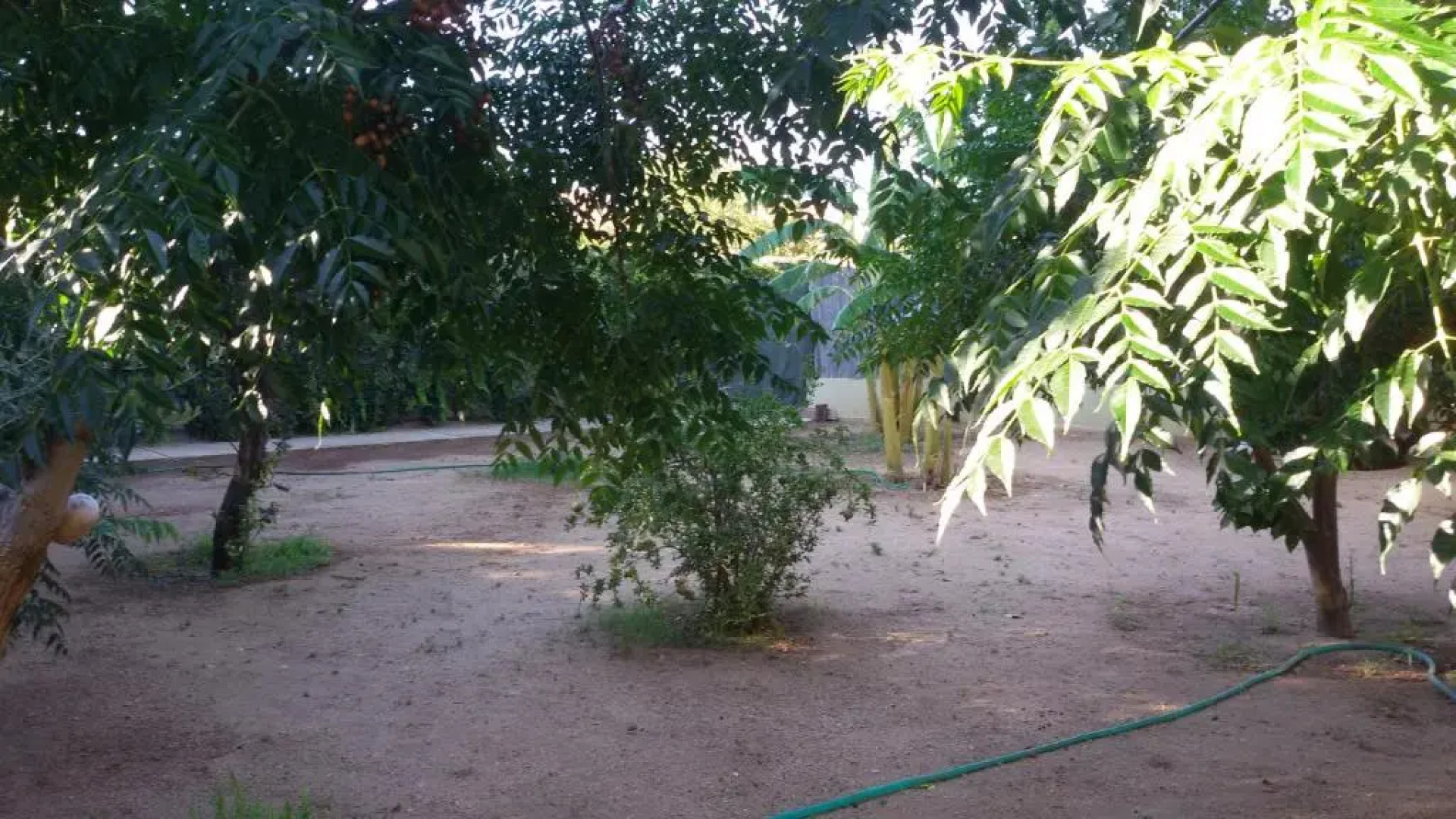 Villletta Indipendente A 300 Metri Dal Mare