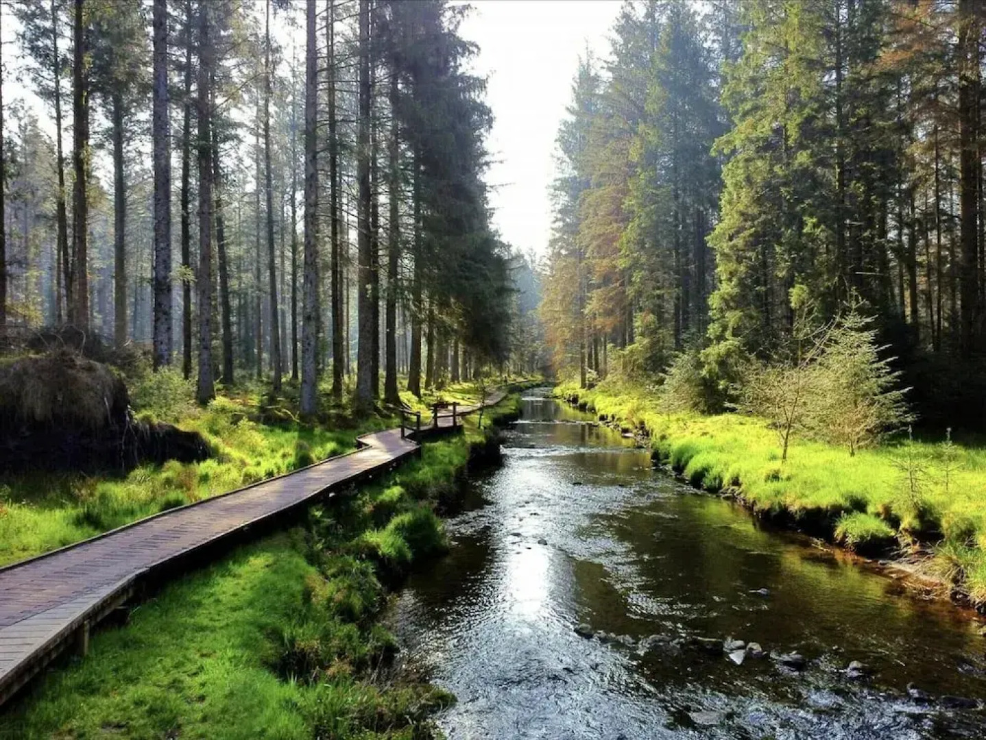 Llanidloes - Sleeps 7 - Parking - Pet Friendly