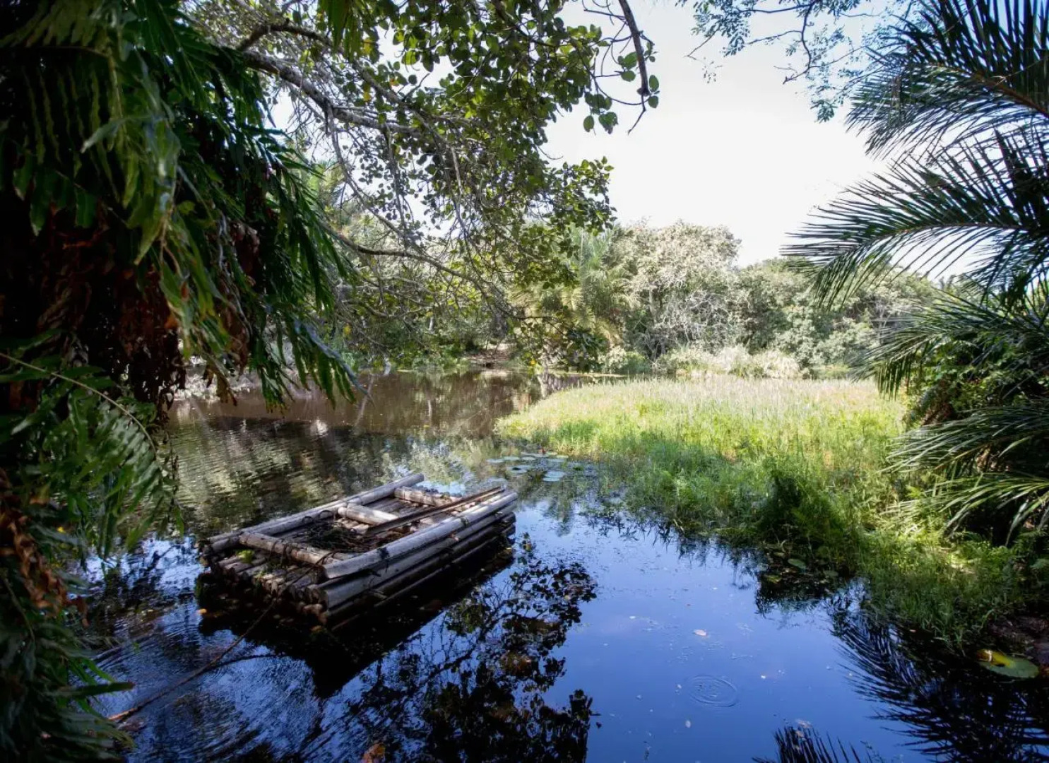 Royal Thonga Safari Lodge