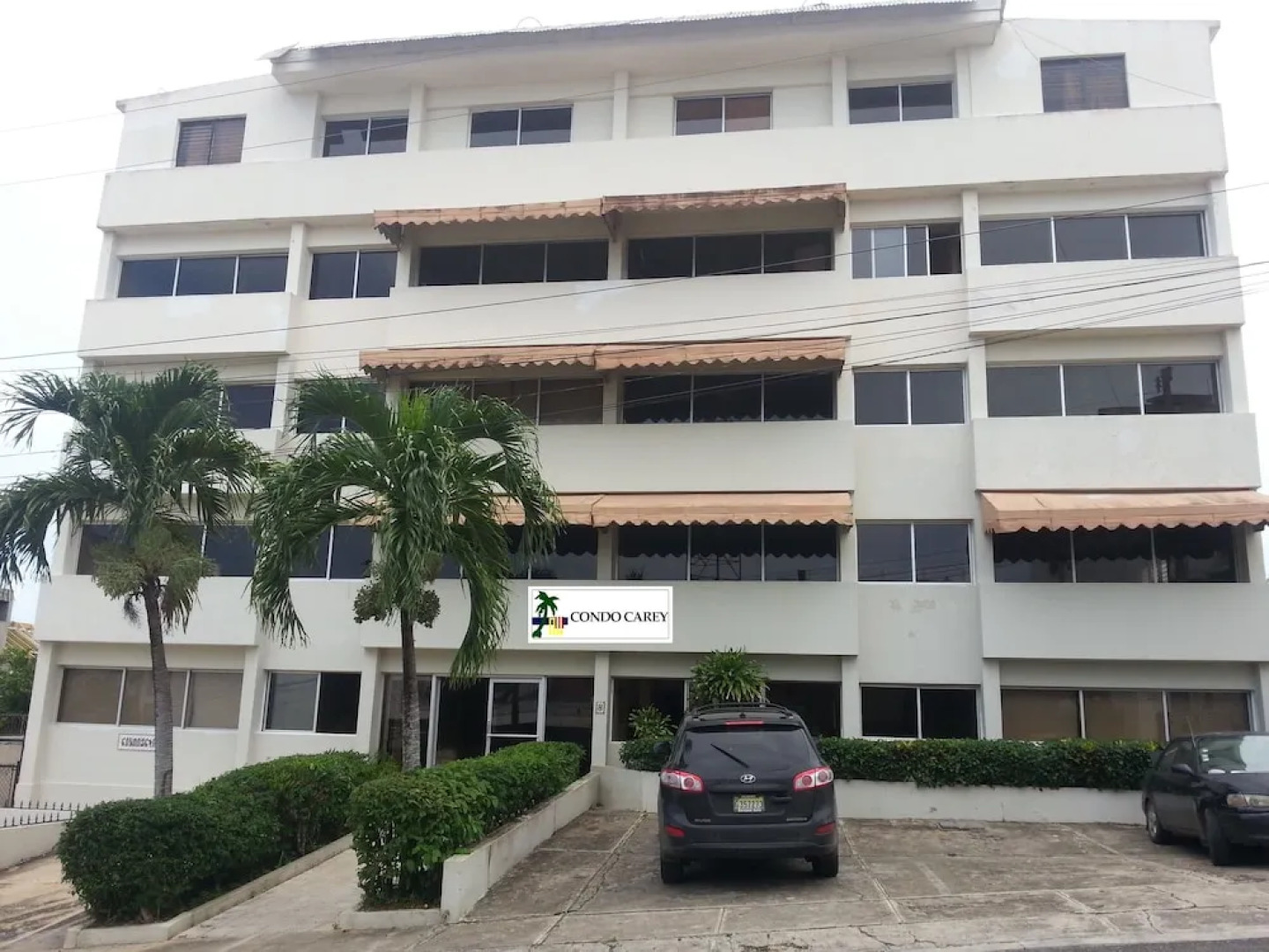 Condo Carey