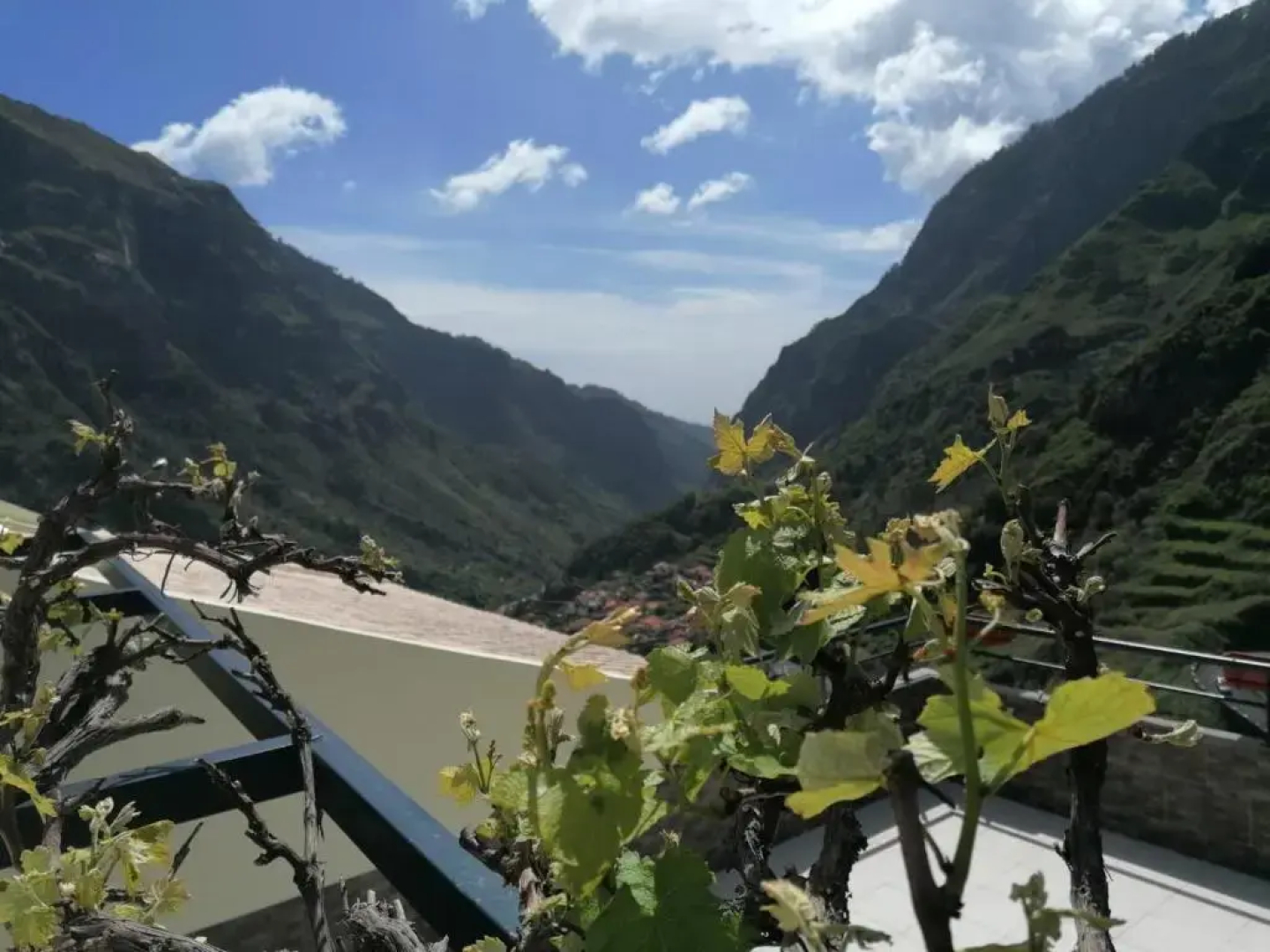 Green Valley House Madeira