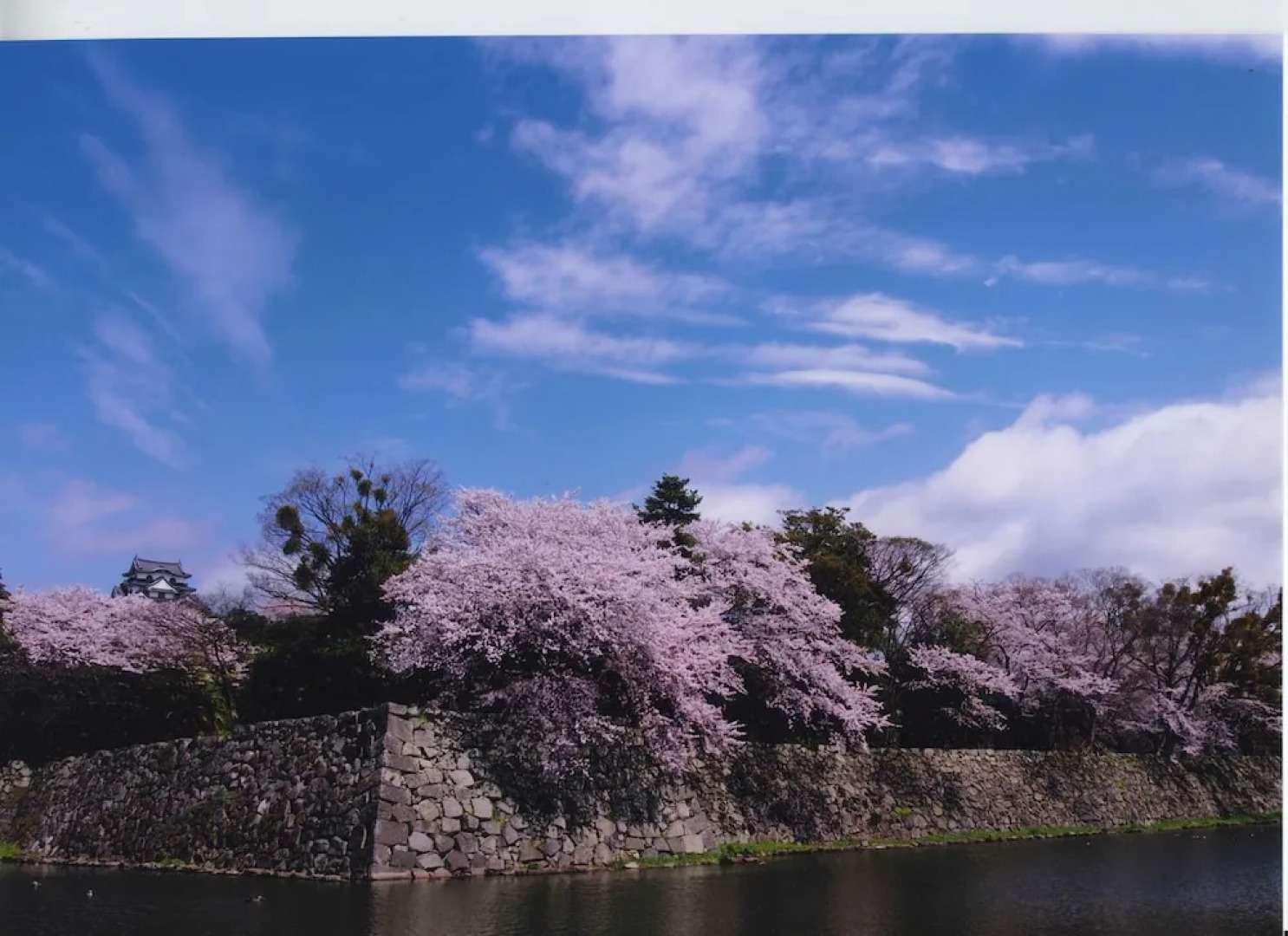 Business Hotel Serikawa