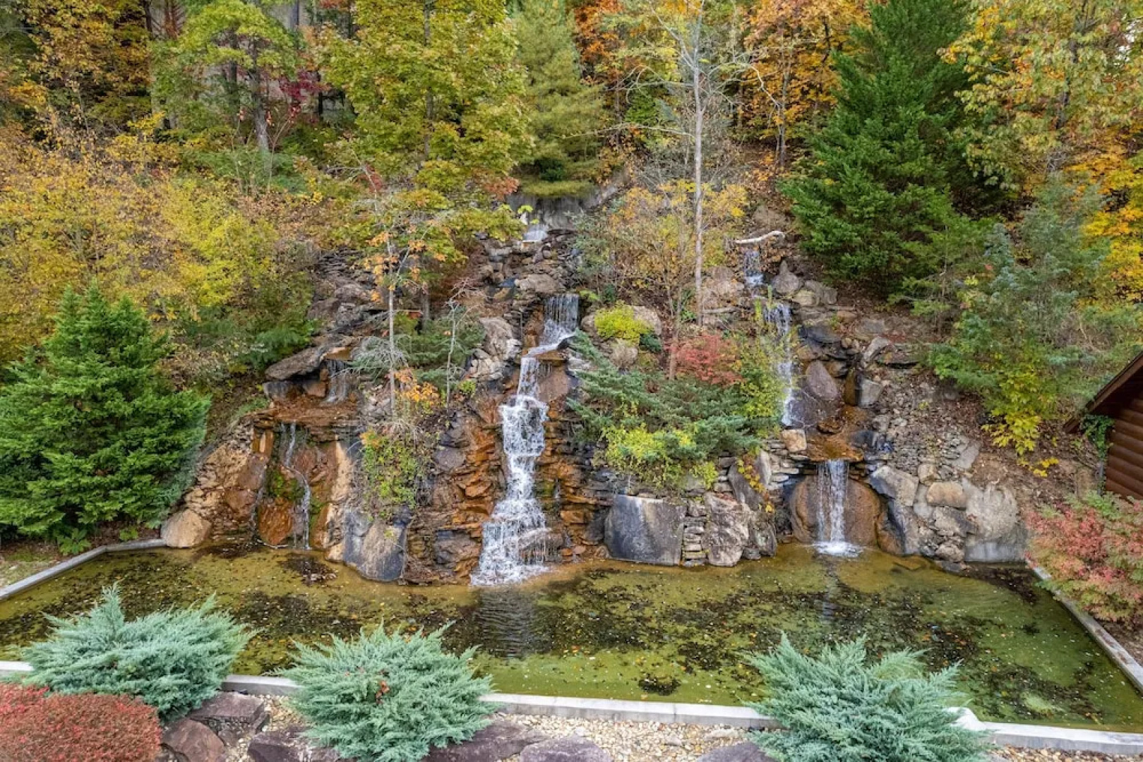 Playhouse Cinema - Four Bedroom Cabin