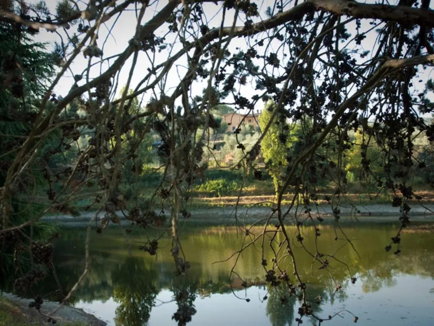Fattoria Le Poggiola