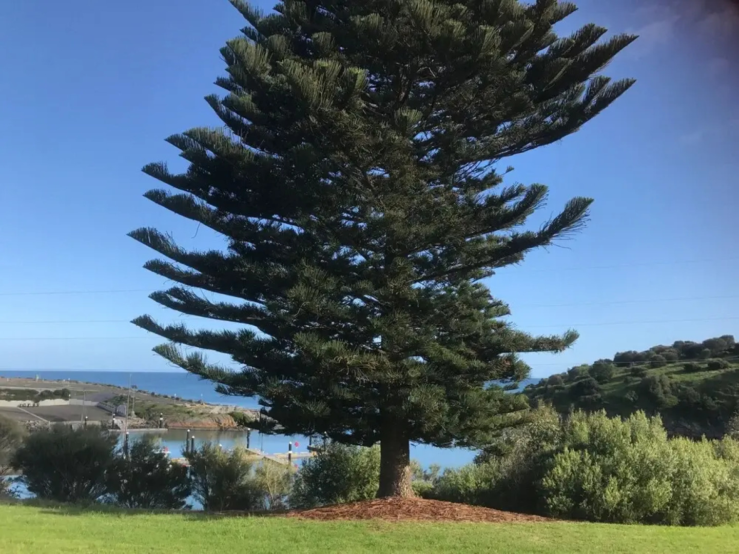 Penneshaw Oceanview Apartments