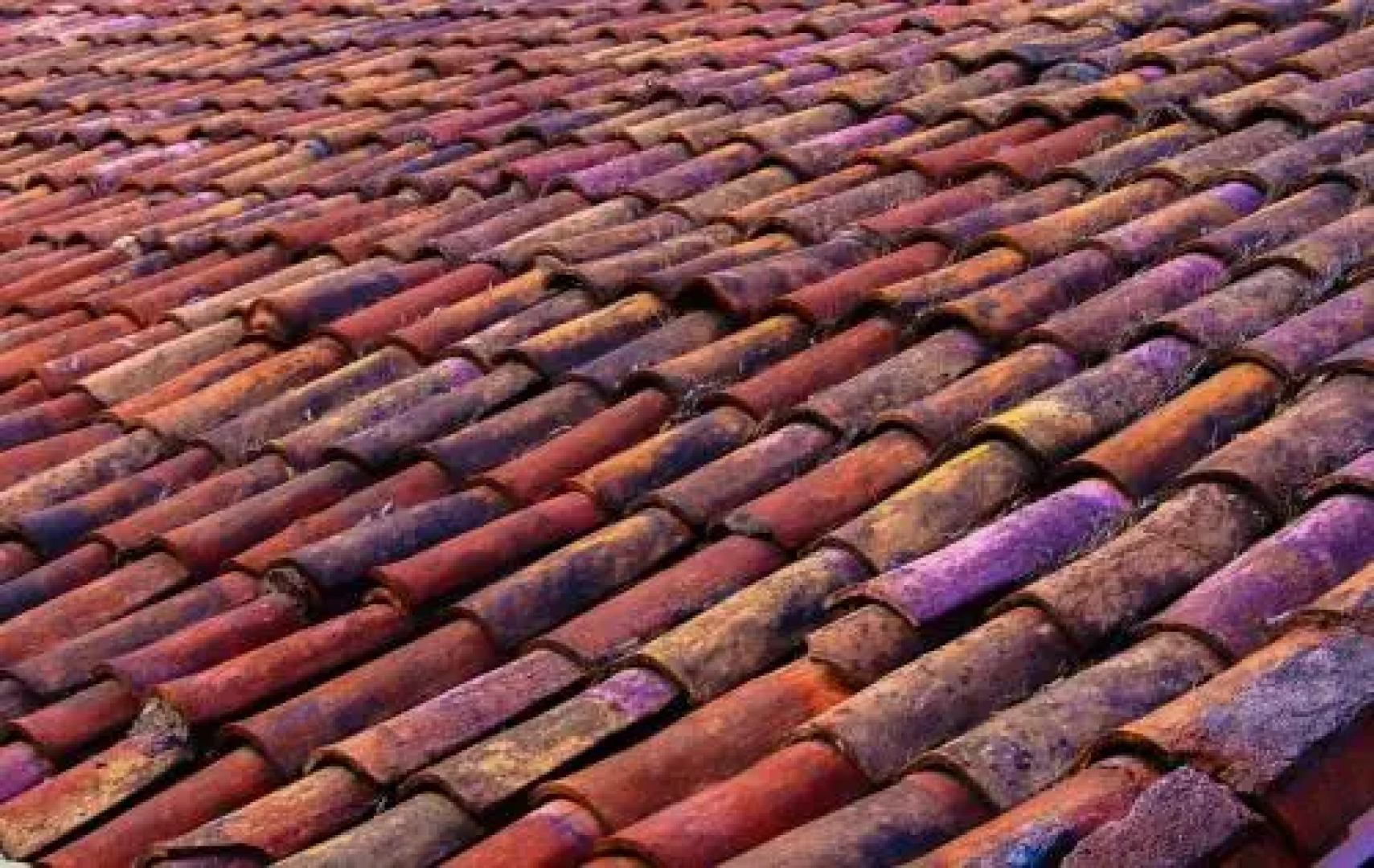 Hotel de Montaña Zabalanquira