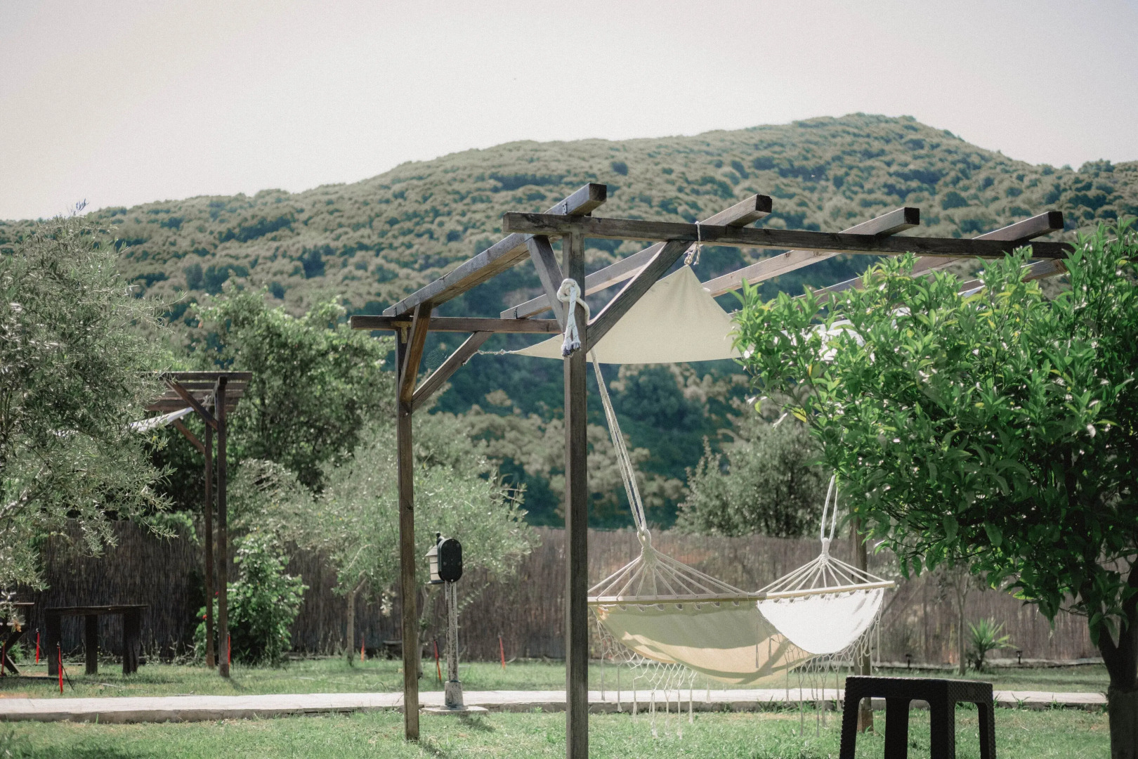 Socrates Organic Village - Wild Olive