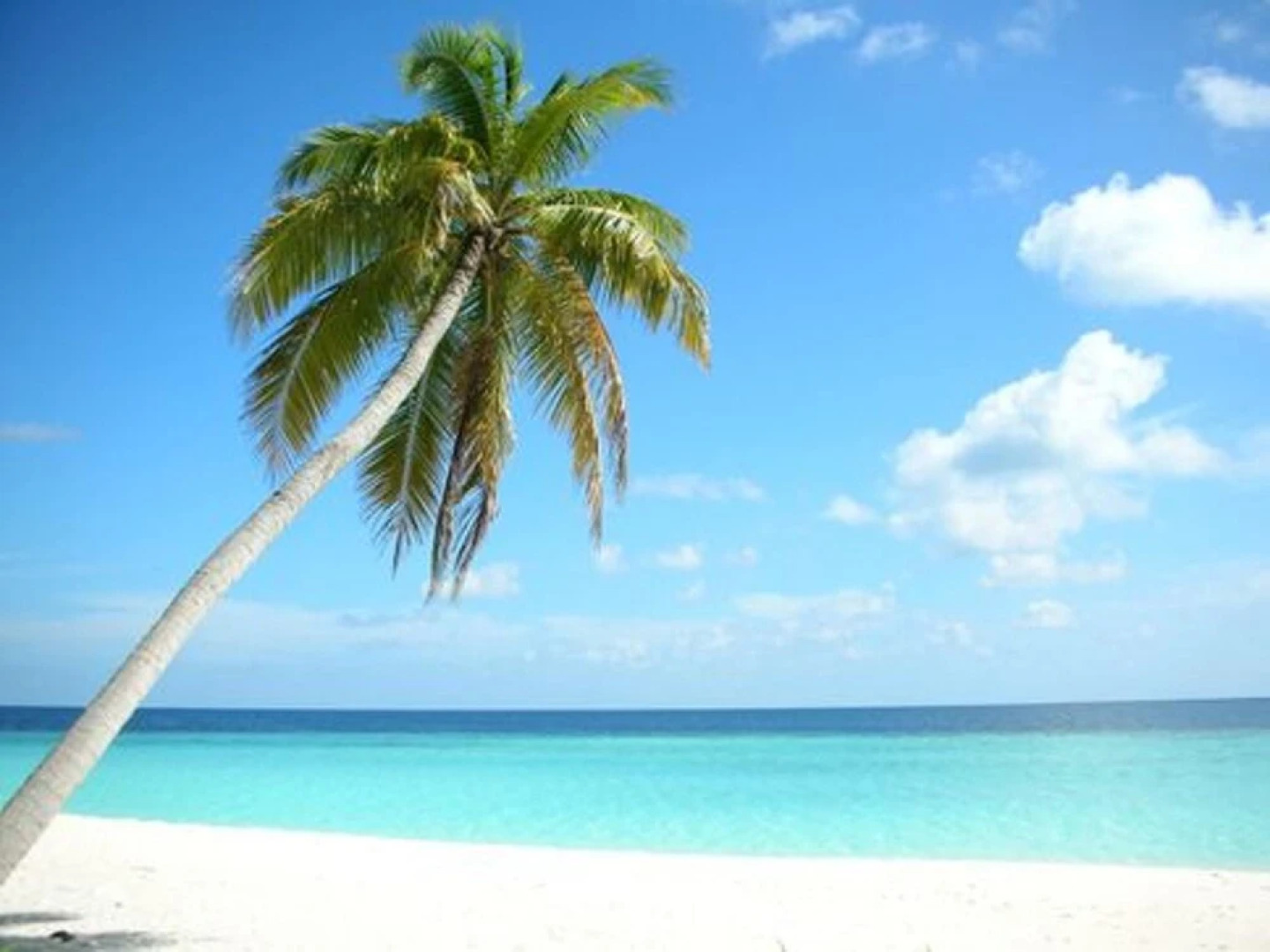 Bungalow With one Bedroom in Capesterre de Marie Galante, With Wonderf