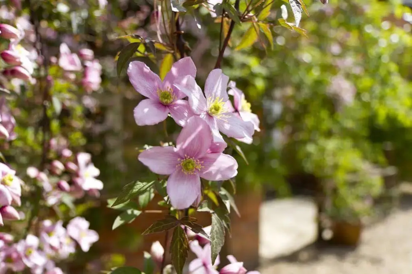 Tickton Grange Hotel