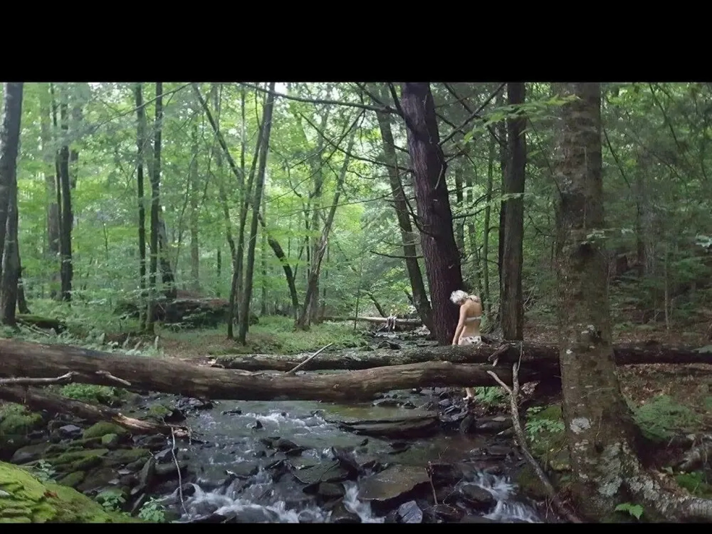 Tentrr - Camp Haven: Meadow Retreat