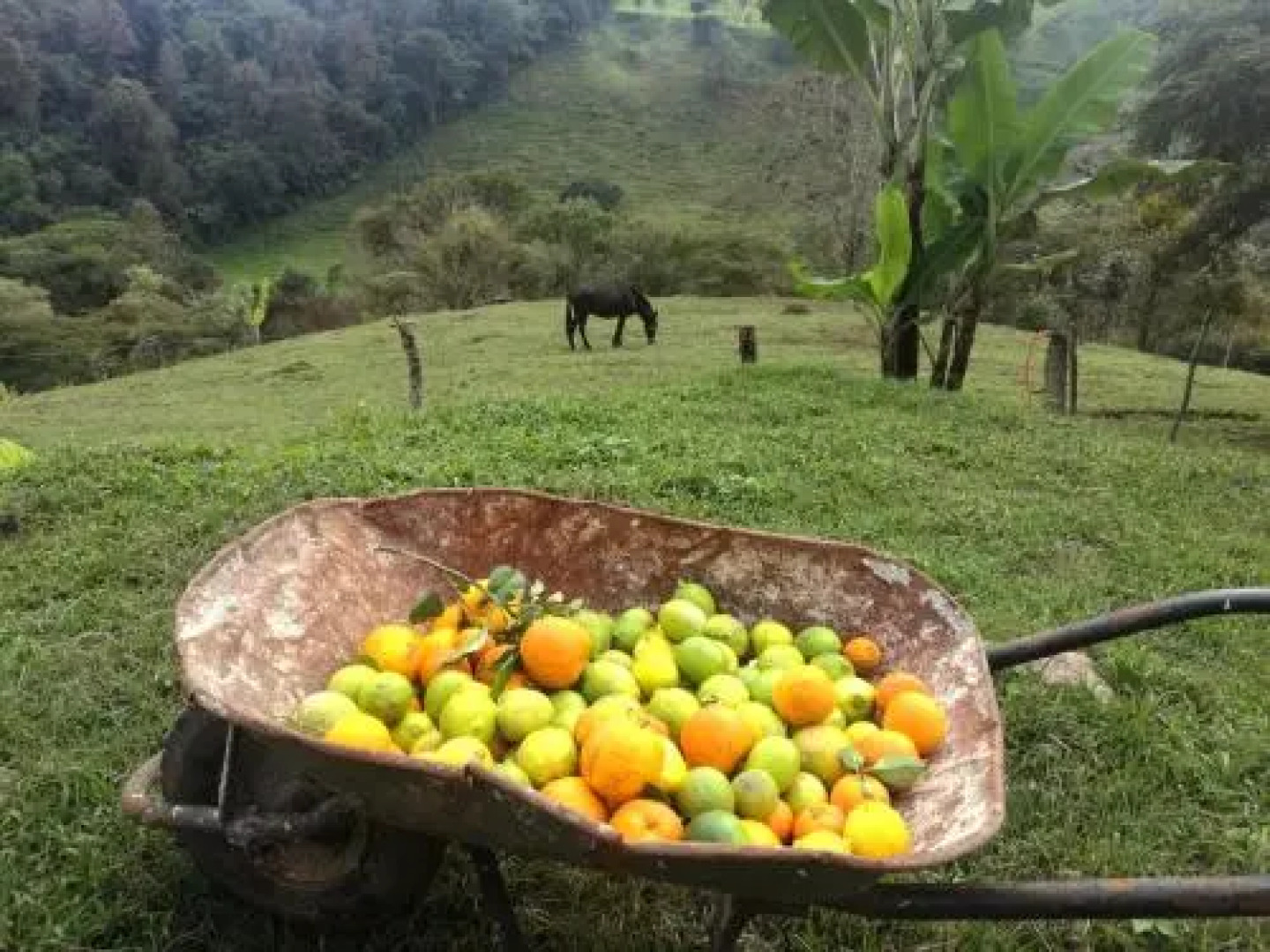 Casa De Campo Tres Soles