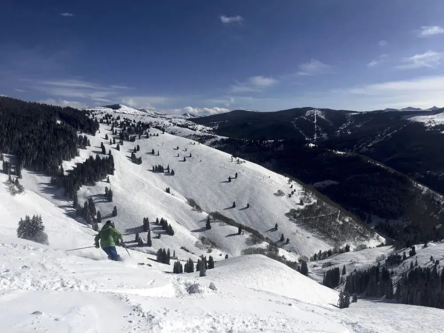 Vail International