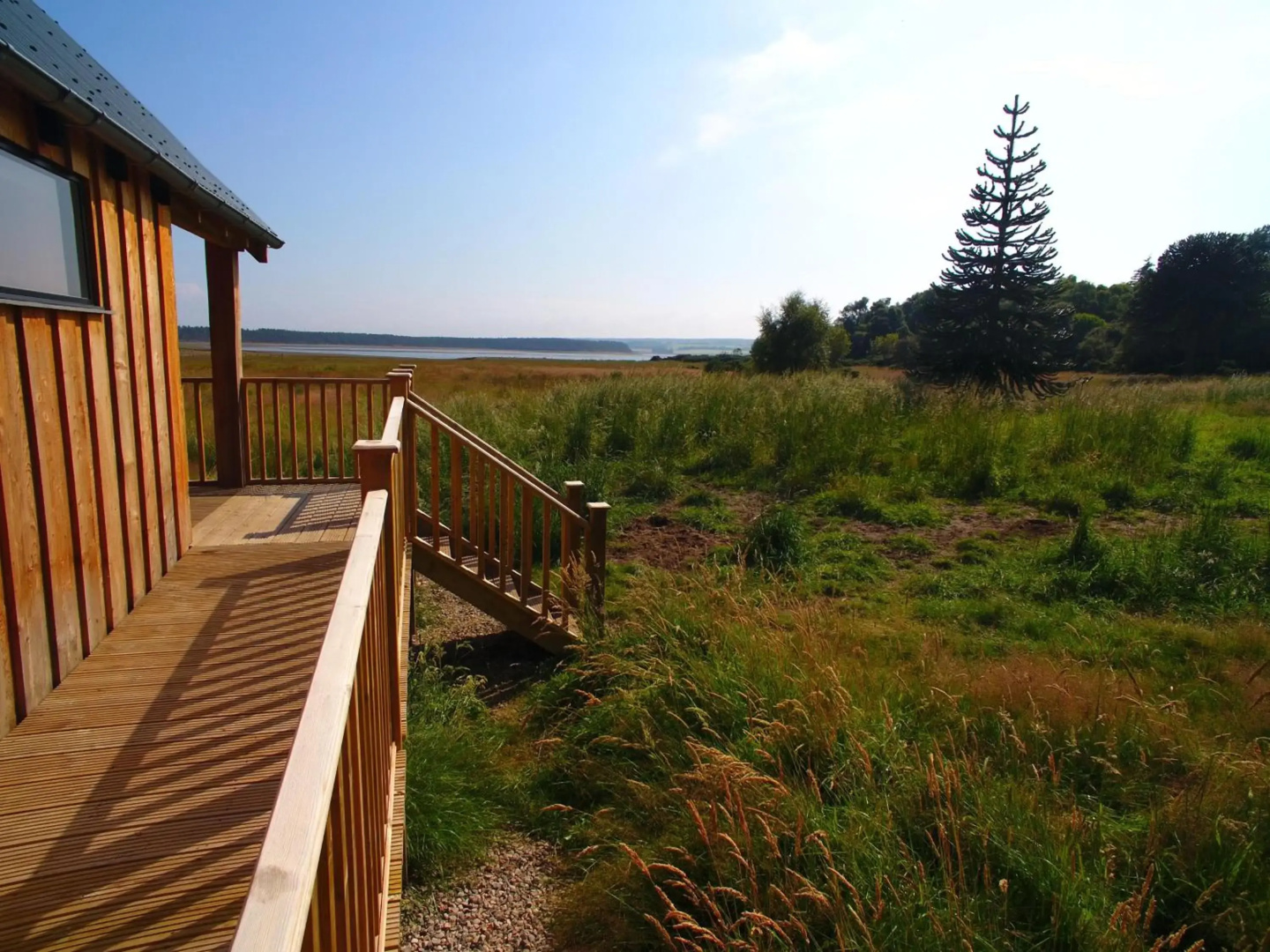Birdwatcher's Cabin
