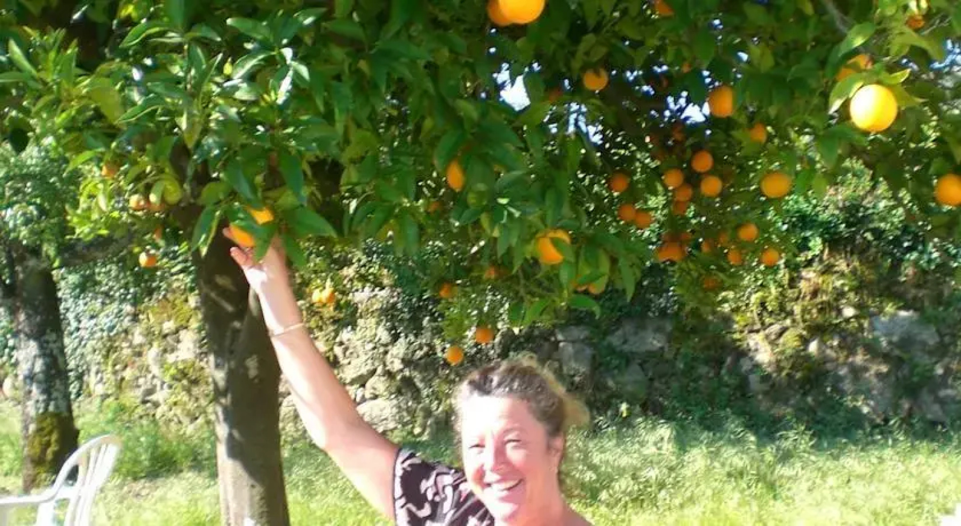 Quinta do Borracheiro