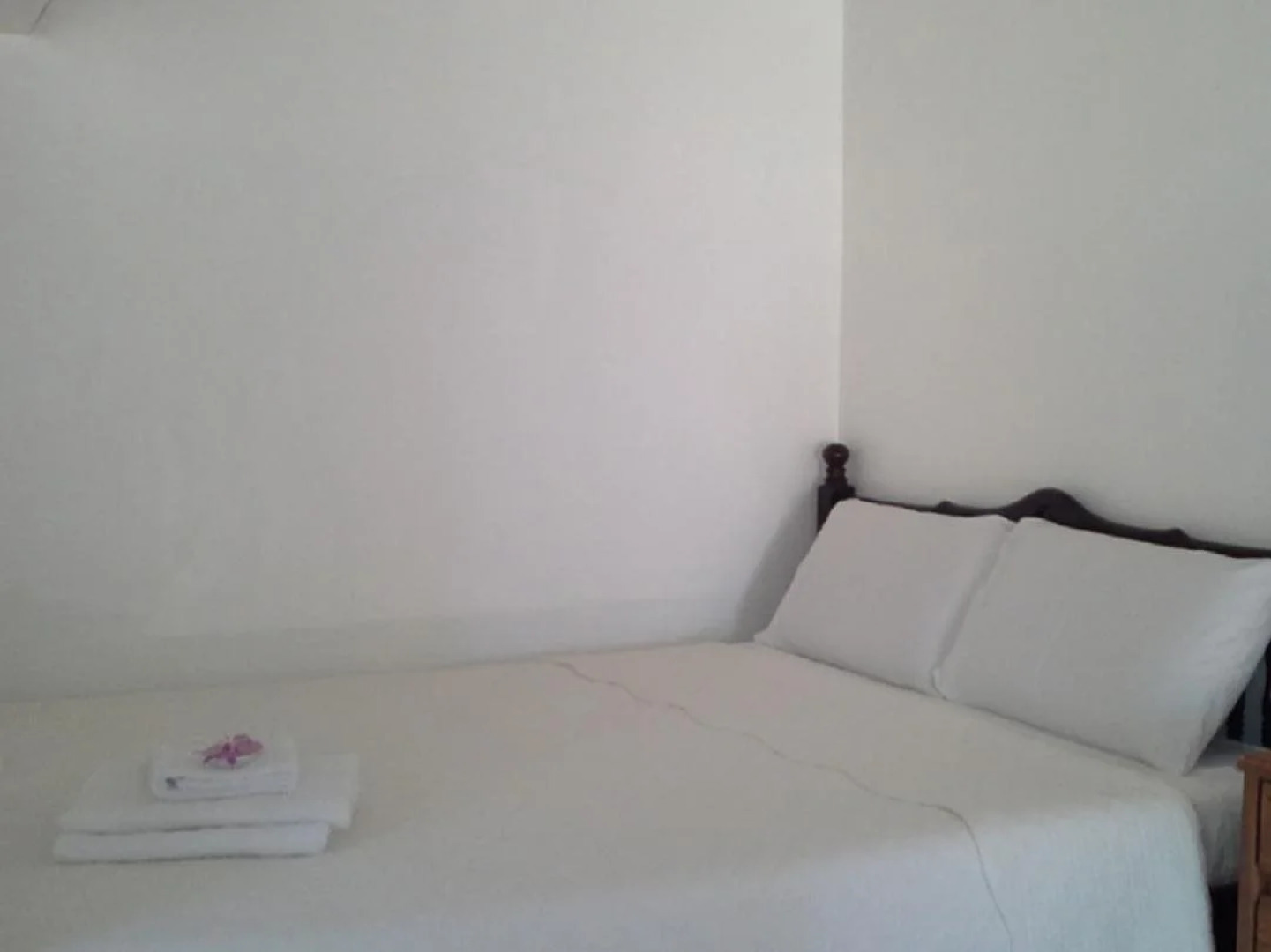 Camotes Flying Fish Resort