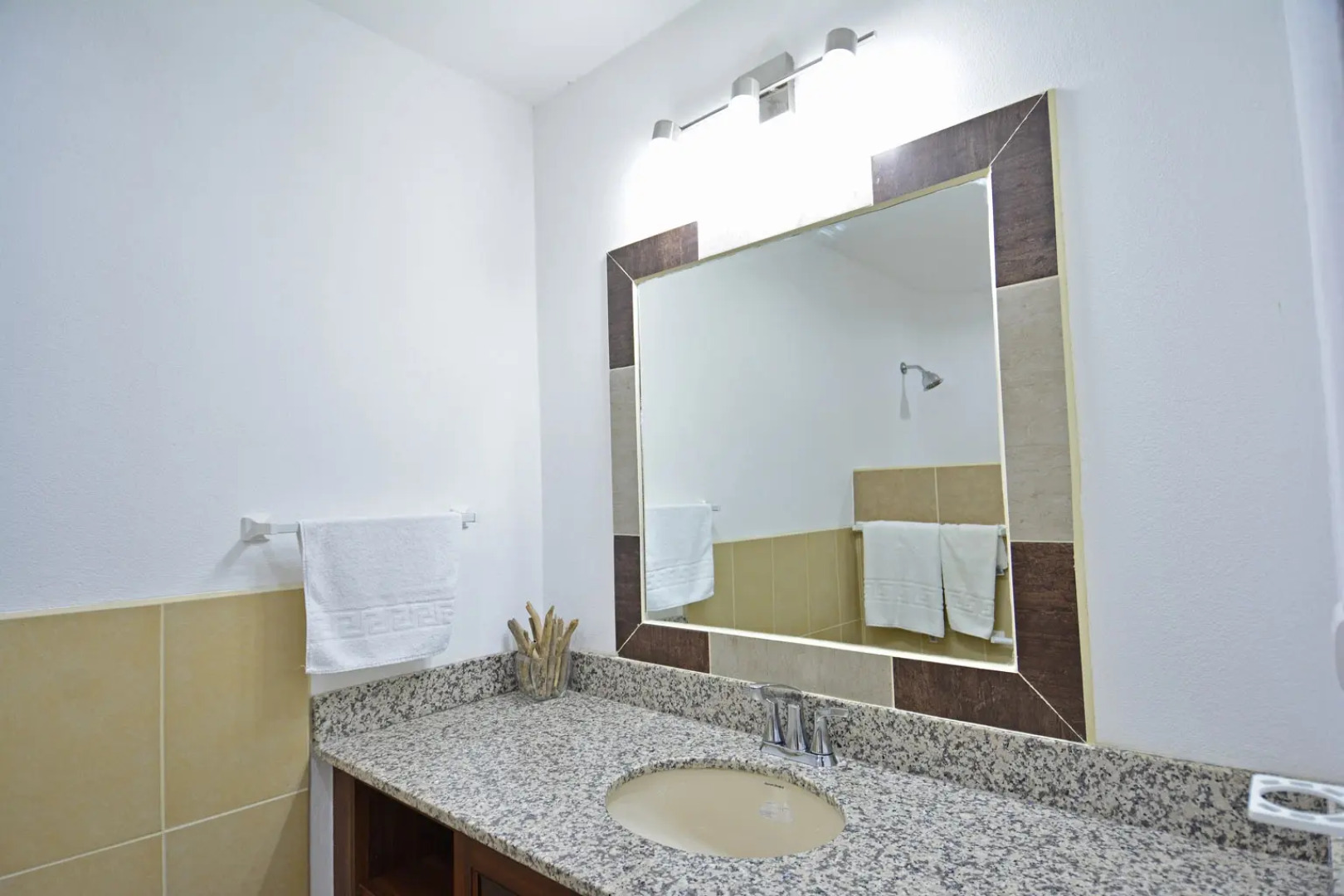 Playa Lagarto Eco Development