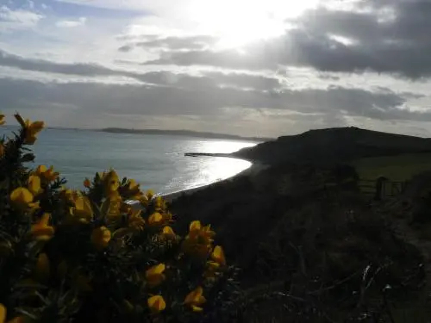 The Bedford Guest House