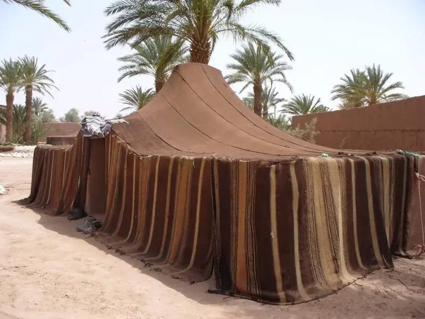 Oasis Mille et Une Nuits