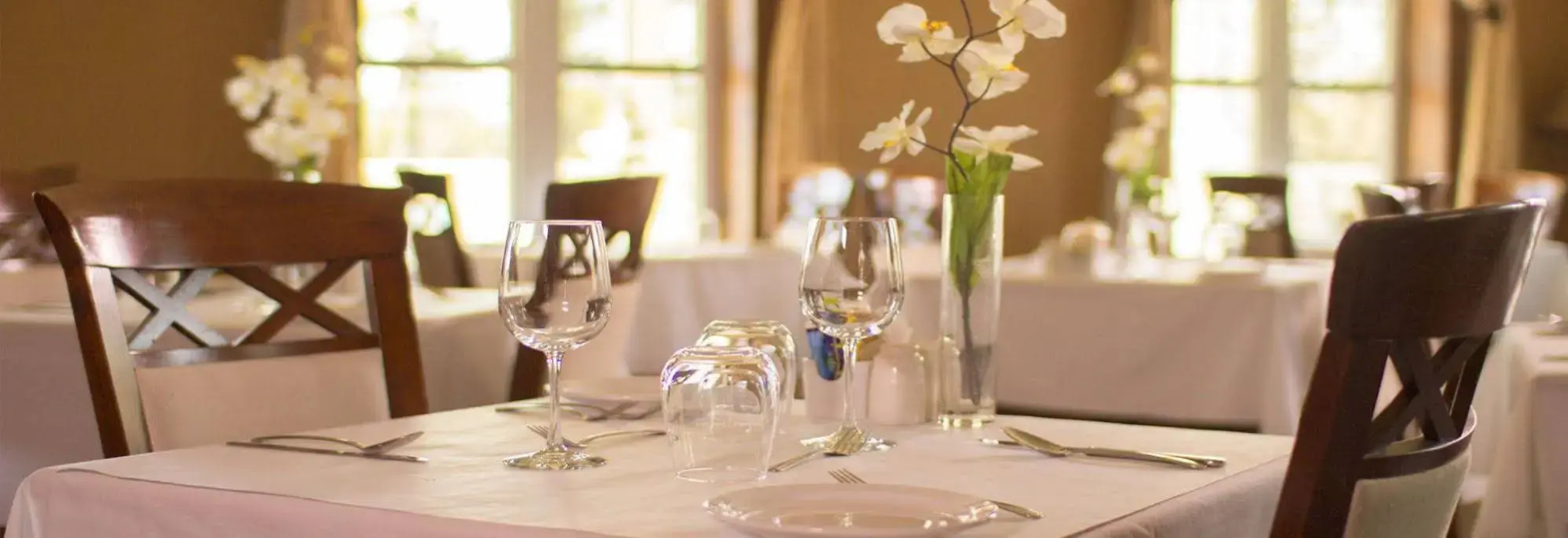 L'Oasis de l'Île, Refuge Urbain