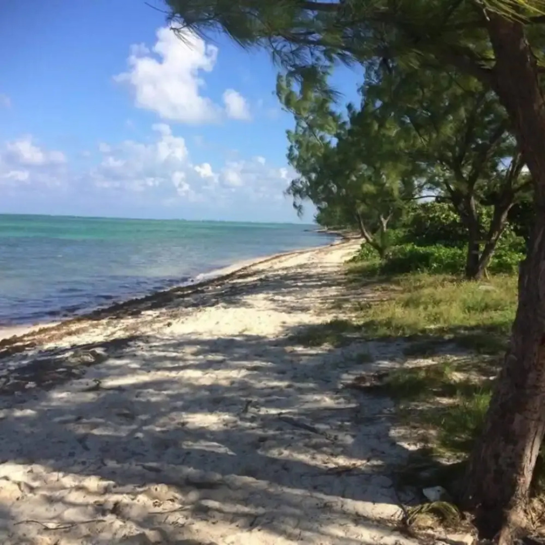 S4 BP Steps to Beach