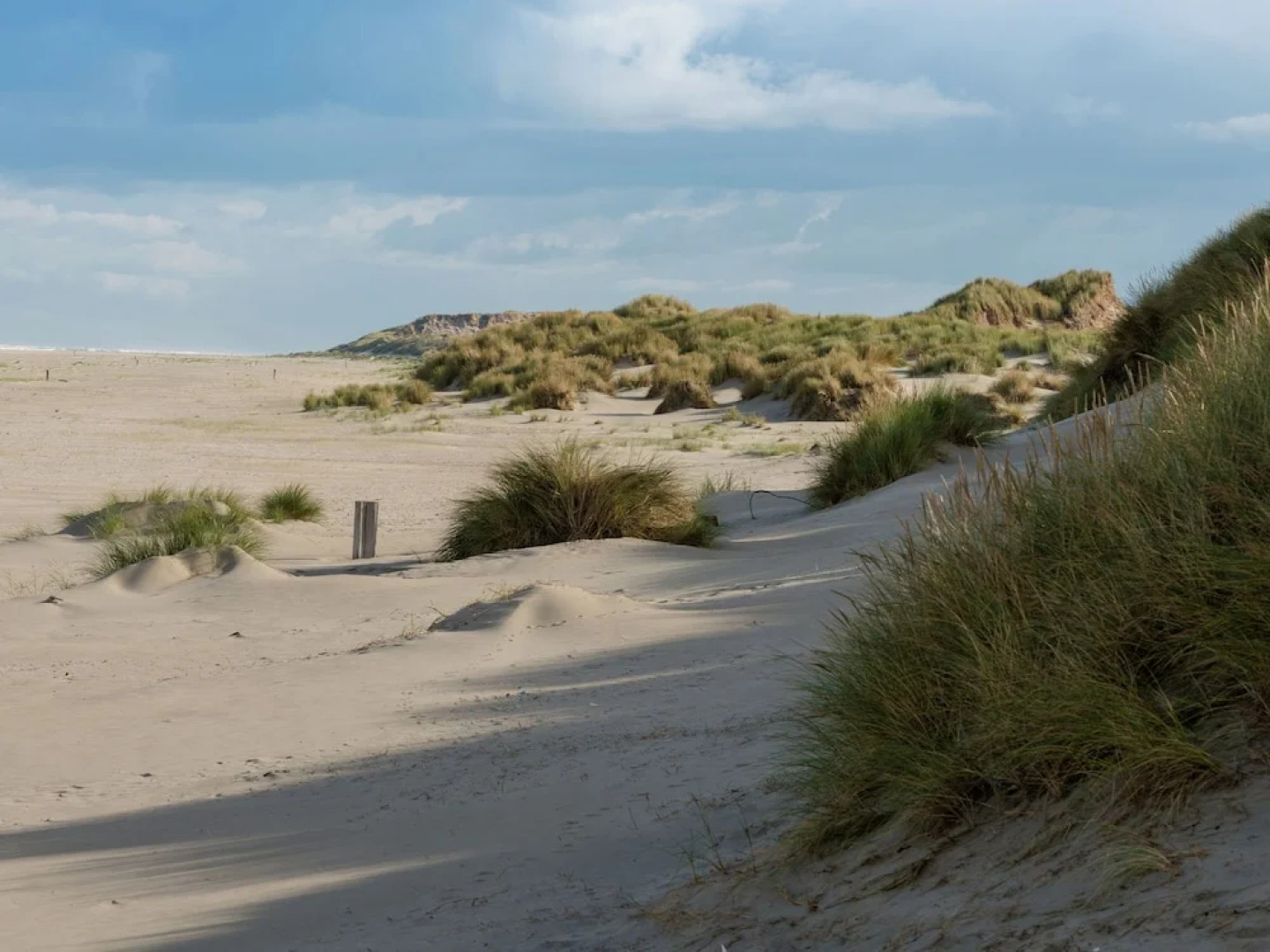 Spacious Apartment in Oosterend Terschelling Amidst Meadows