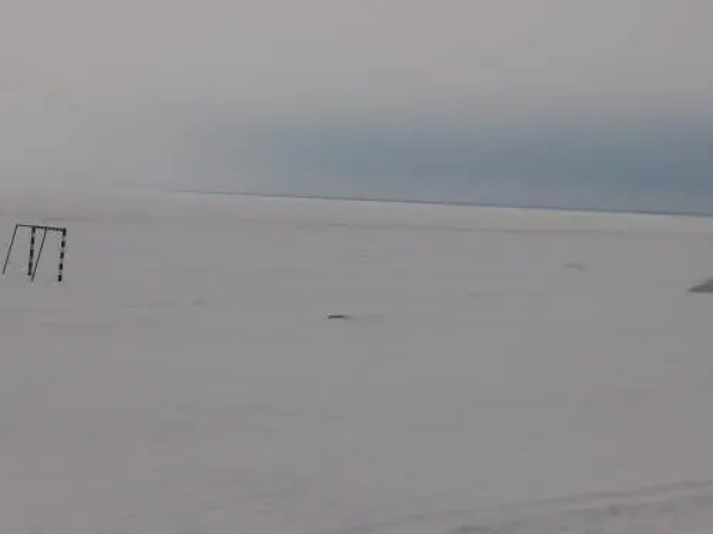 Villa Ringi Apartment