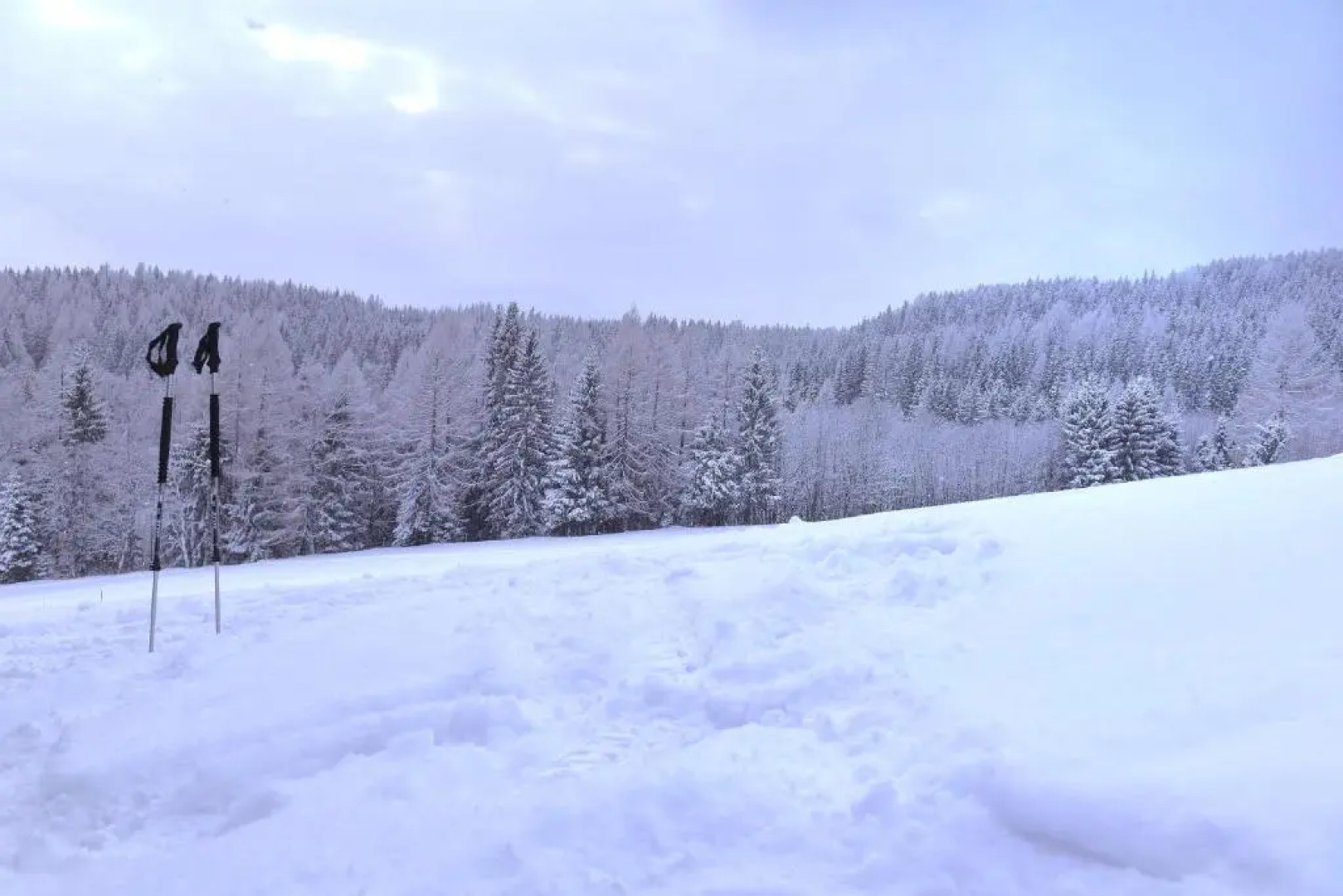 Gasthof Hirschenwirt